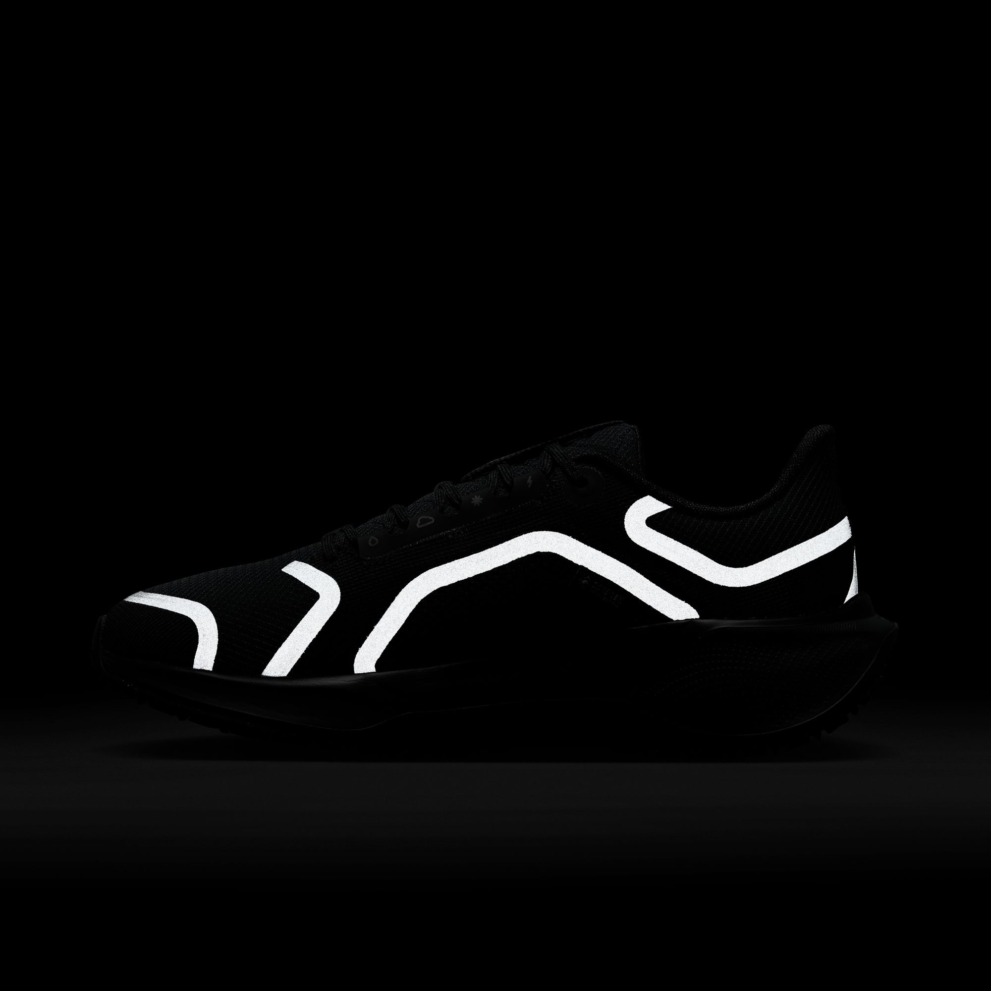 Nike Laufschuh »W AIR ZM PEGASUS 41 GTX«