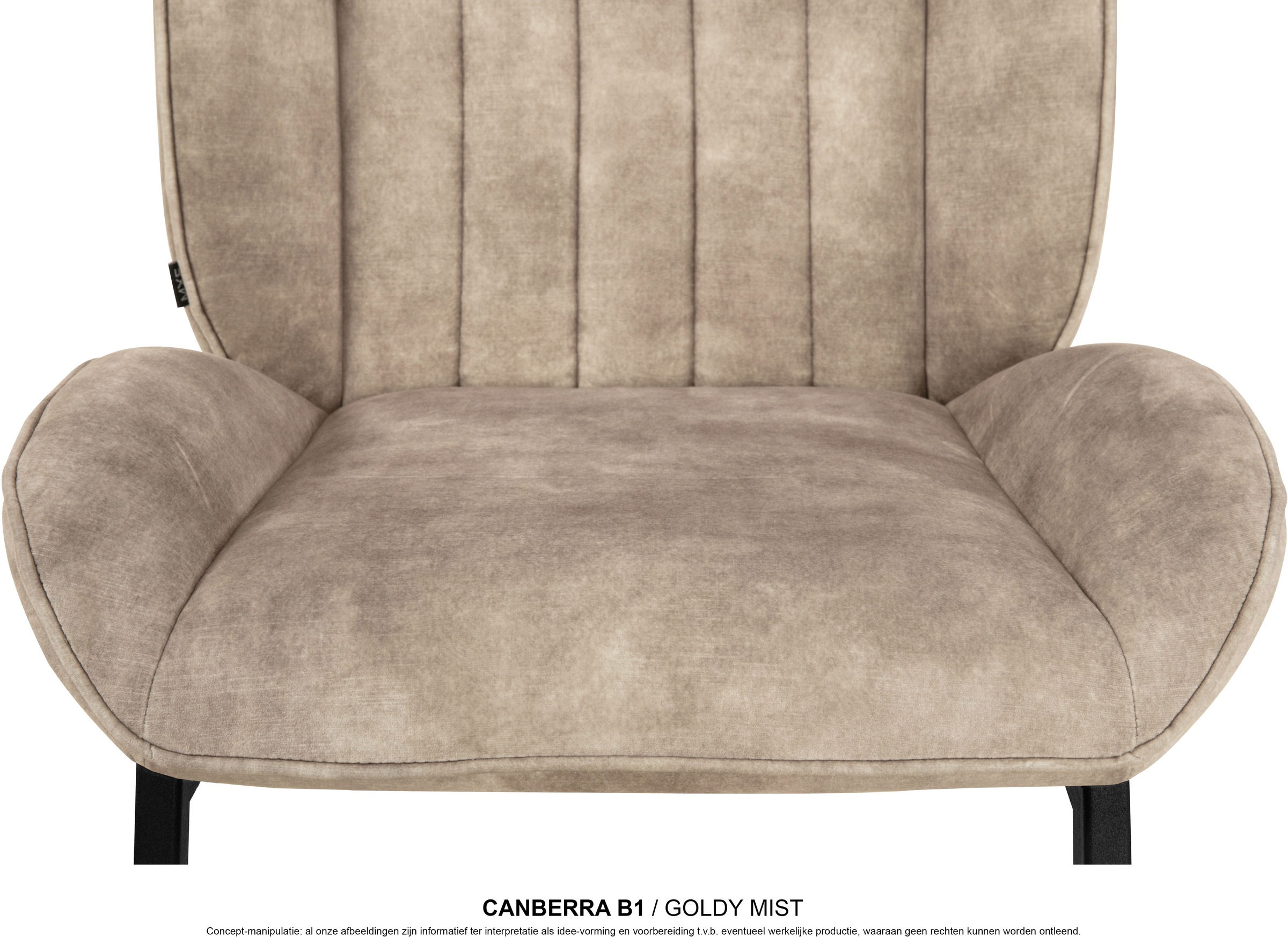 OMG Design Esszimmerstuhl »Canberra« (Set) 1 Stk.Esszimmerstuhl, pflegeleichter Samtvelour Bezug