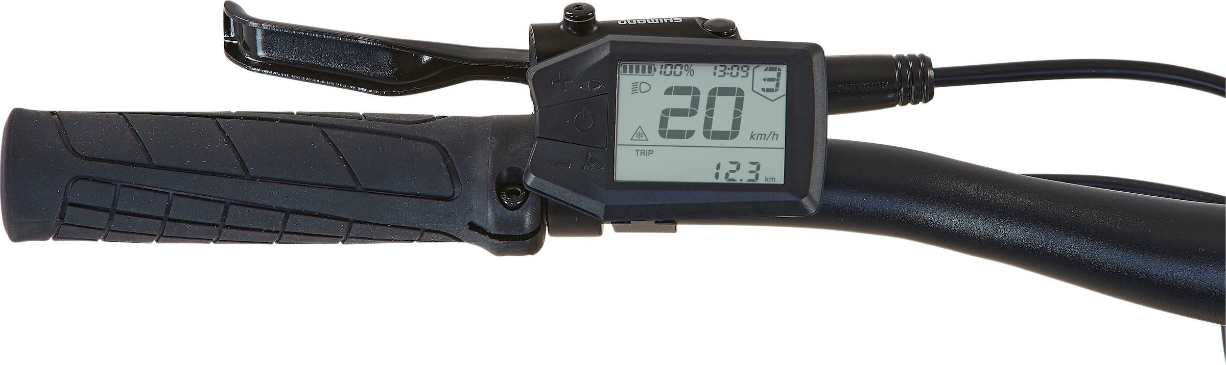 Prophete »Dice 3.0« 10 Gang Shimano Cues Schaltwerk Kettenschaltung Mittelmotor 250 W Pedelec, Elektrofahrrad für Damen und Herren, MTB