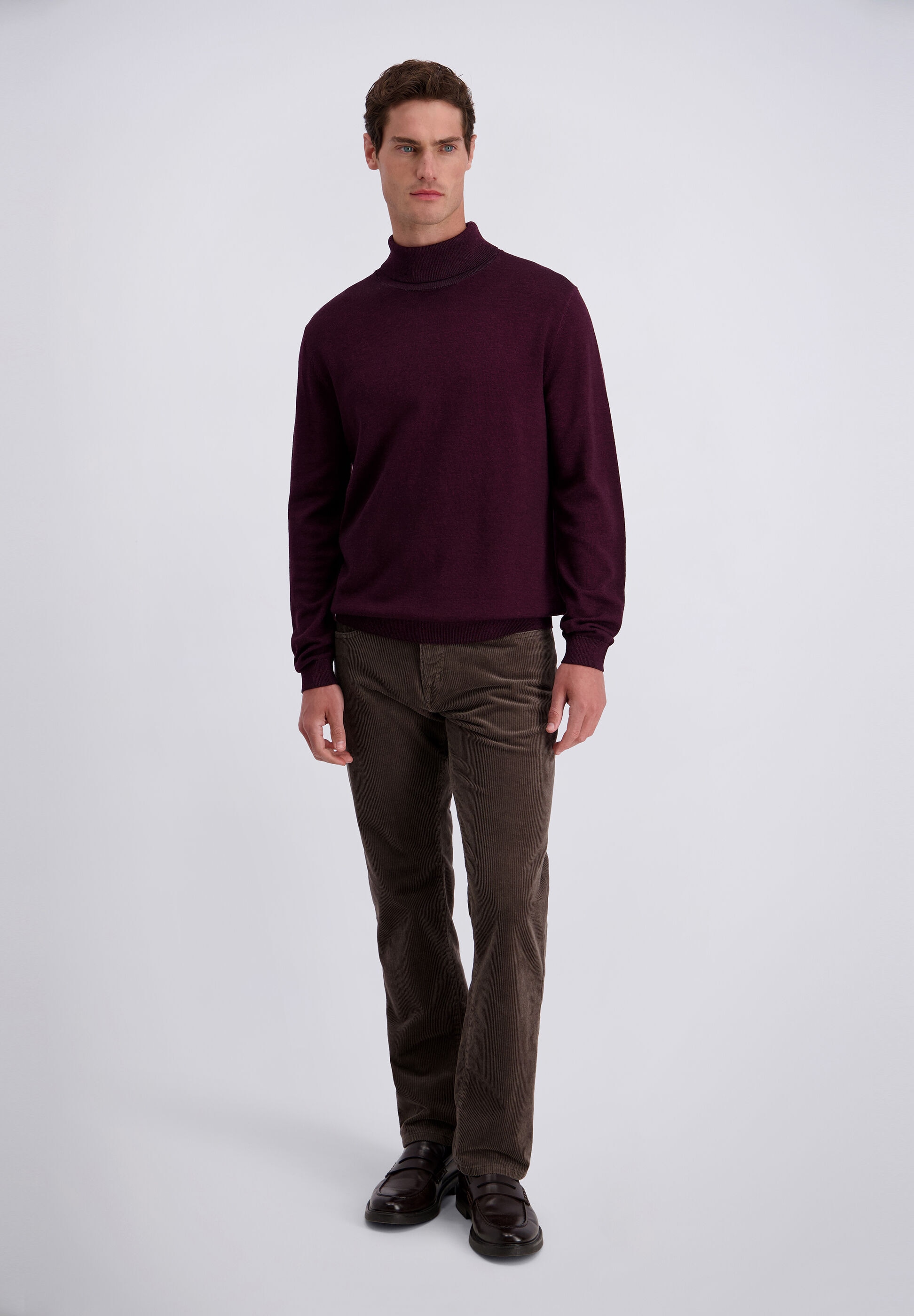 Pierre Cardin Strickpullover »Pierre Cardin Pullover« im unifarbenen Stil