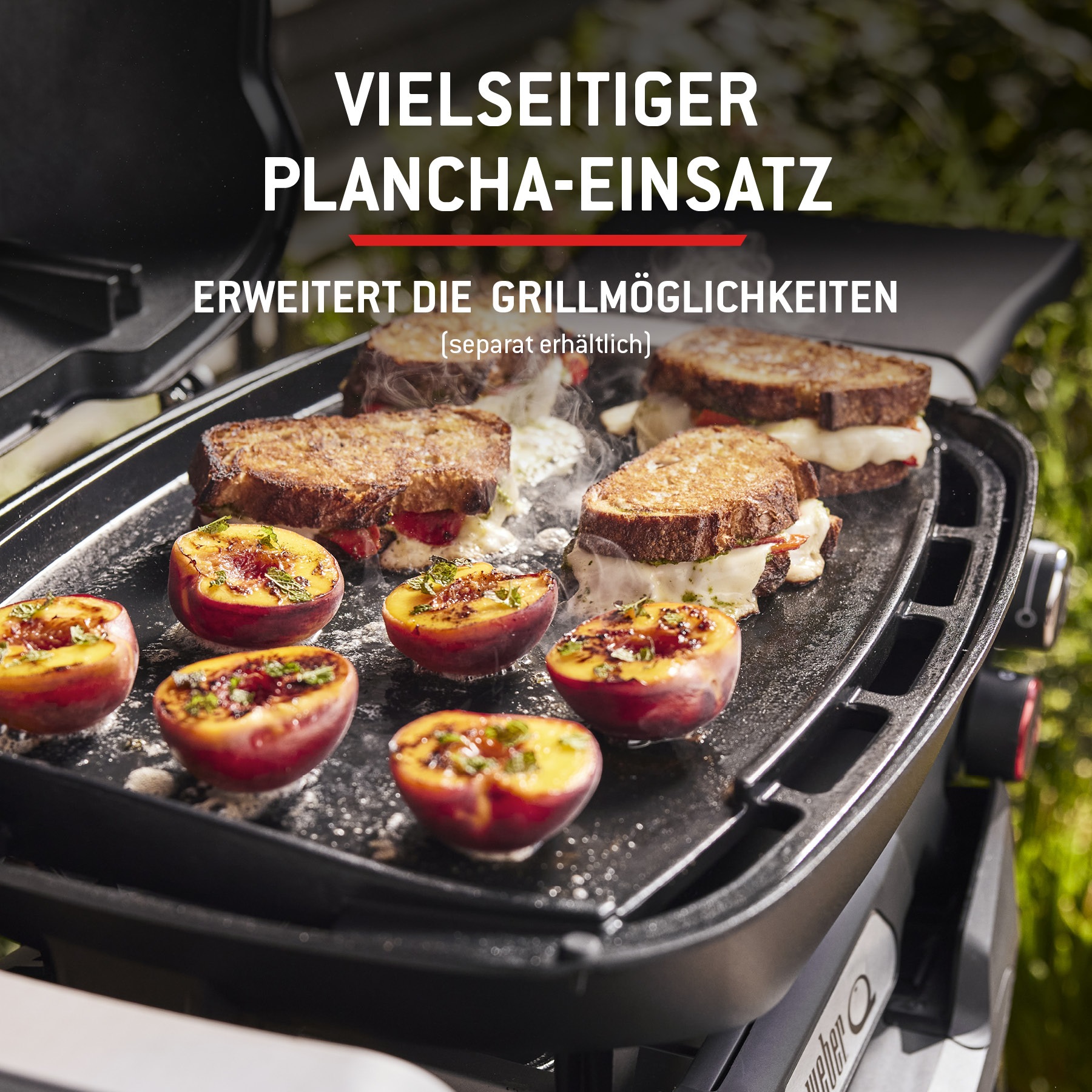 Weber Gasgrill »Q2200N« Mit Deckelthermometer, abnehmbaren Seitentischen und Untergestell
