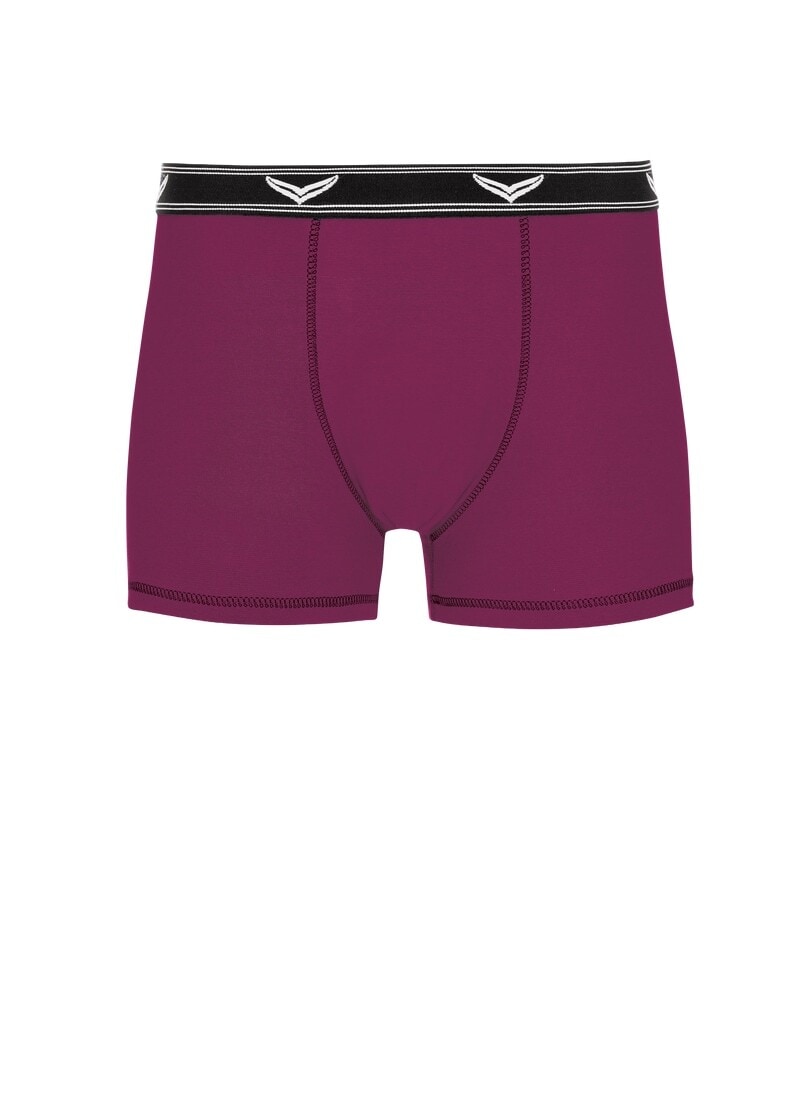 Trigema Boxer »TRIGEMA Bequeme Pants mit Webgummibund«, (1 St.)