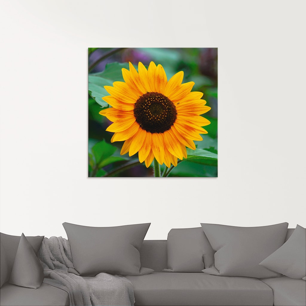 Artland Glasbild »Sonnenblume«, Blumen, (1 St.)