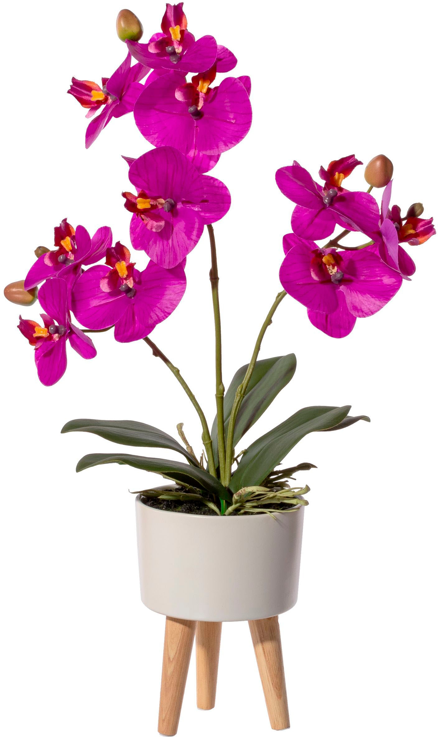 Creativ green Kunstorchidee »Orchidee Phalaenopsis auf in Füßen auf und Keramikschale«, Rechnung mit Real-Touch-Blüten bestellen