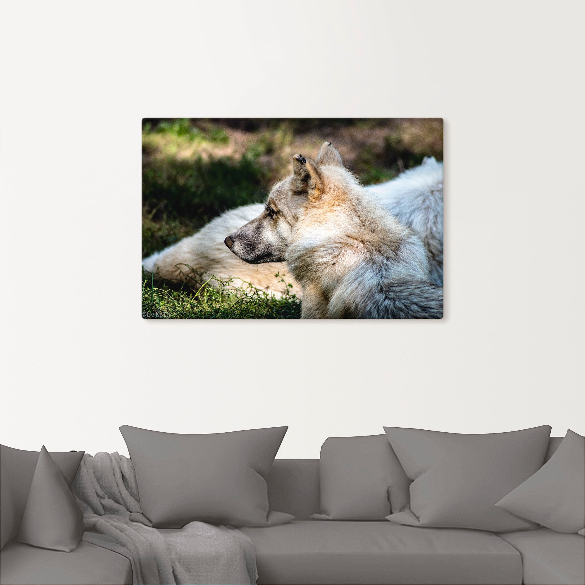 Artland Wandbild »Blick in die Ferne«, Wolfbilder, (1 St.), als Alubild, Leinwandbild, Wandaufkleber oder Poster in versch. Größen