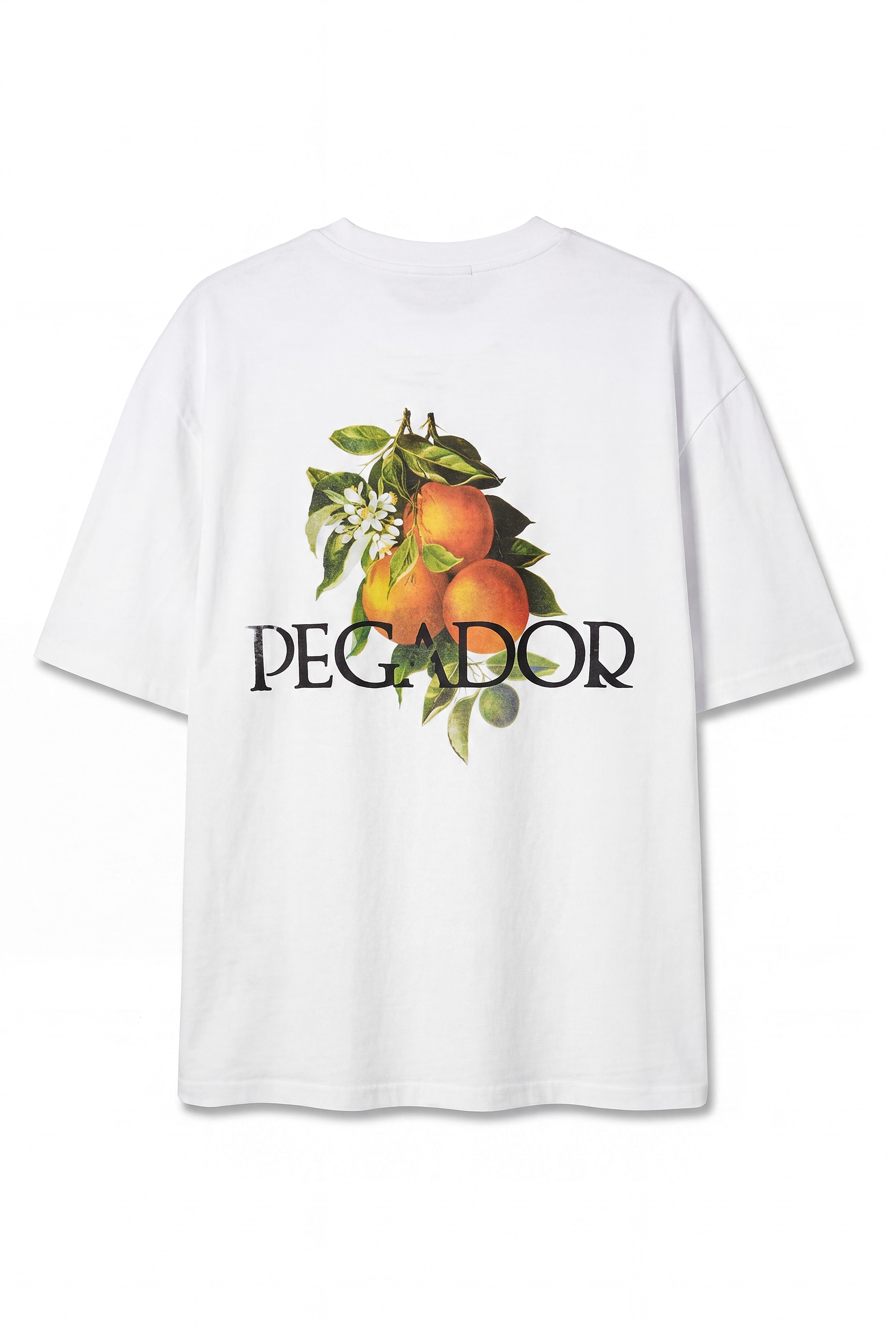 PEGADOR Rundhalsshirt »VIBORG OVERSIZED TEE«