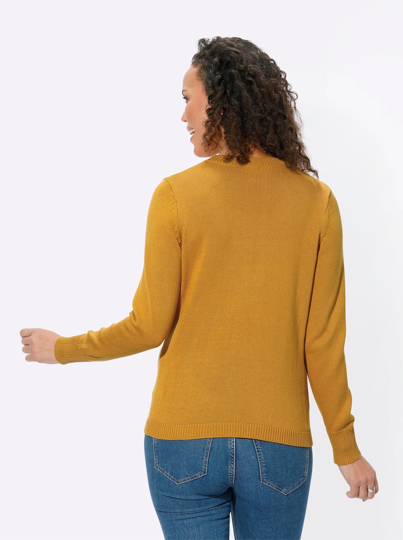 Casual Looks Rundhalspullover »Pullover«