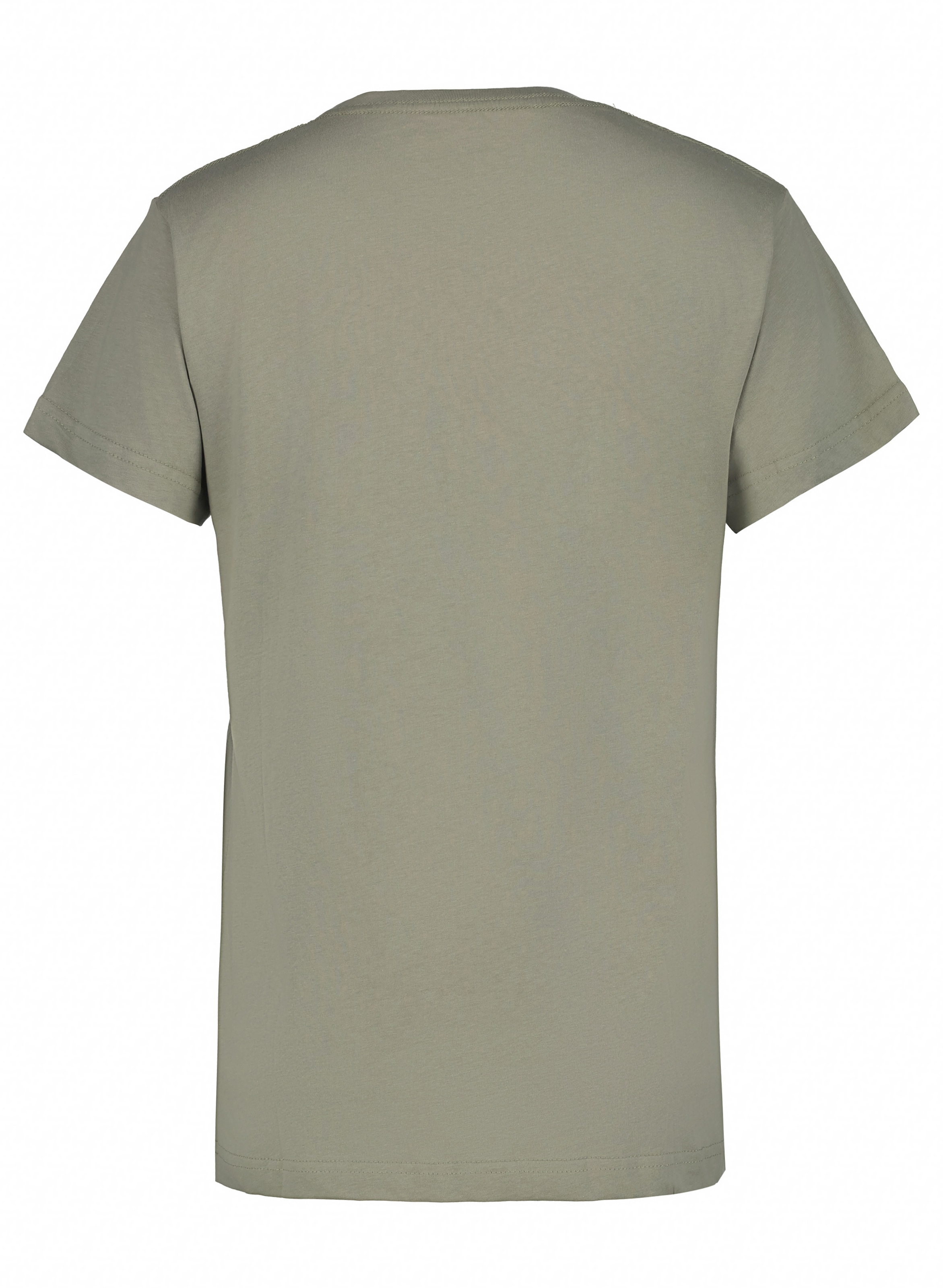 Icepeak T-Shirt »D T-SHIRT MARICOPA«, (1 tlg.)