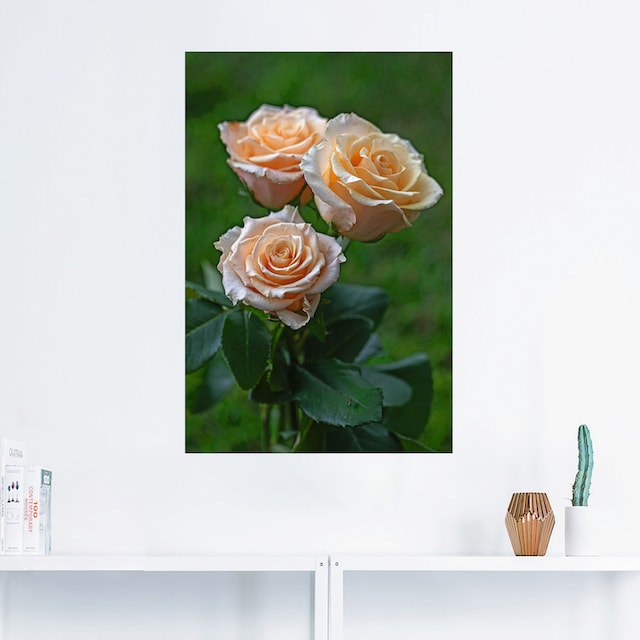 Artland Wandbild »wunderschöne Rosen«, Blumenbilder, (1 St.), als Alubild,  Leinwandbild, Wandaufkleber oder Poster in versch. Größen auf Rechnung  bestellen