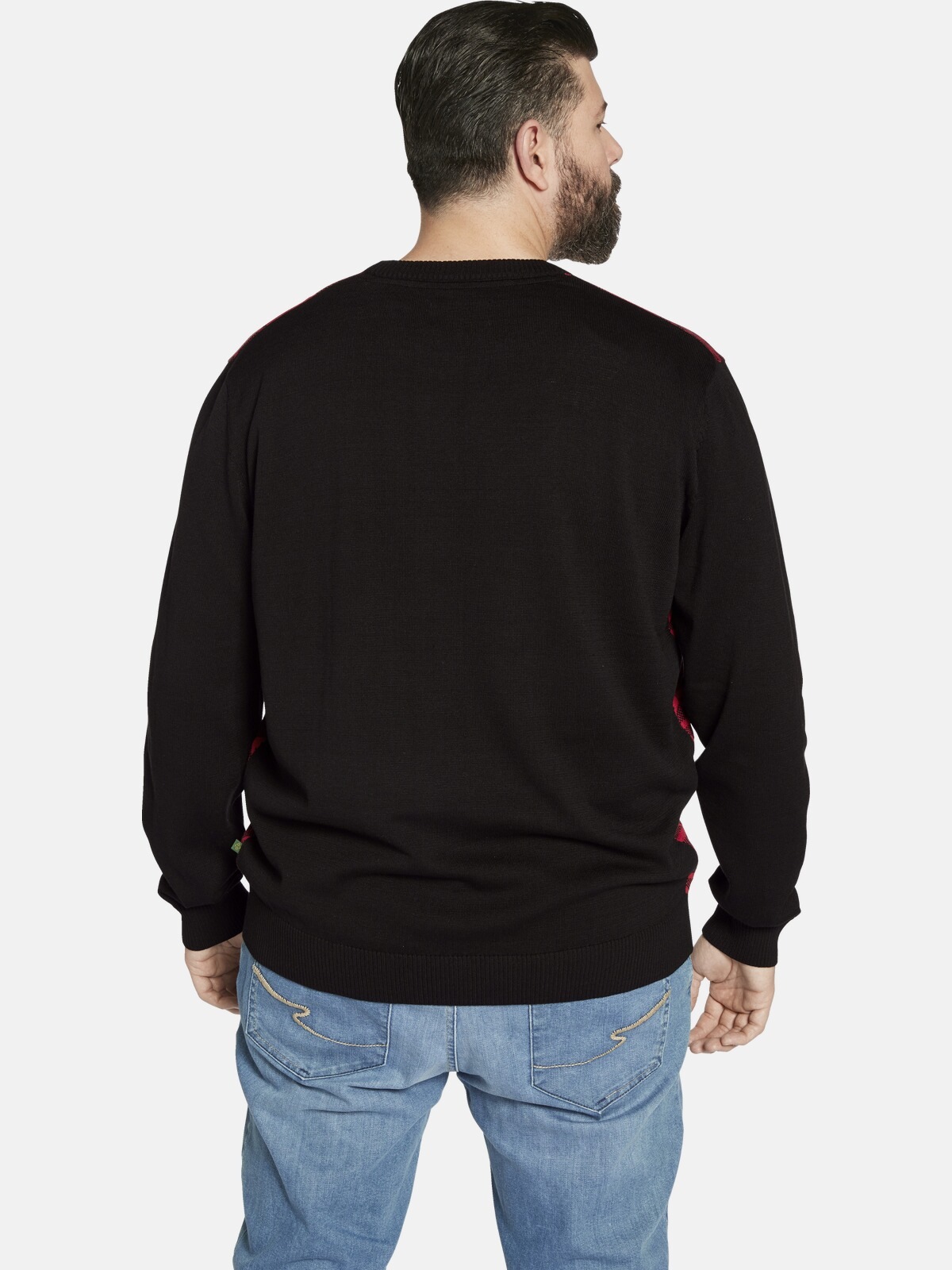 Charles Colby Rundhalspullover »Pullover EARL ALAN«
