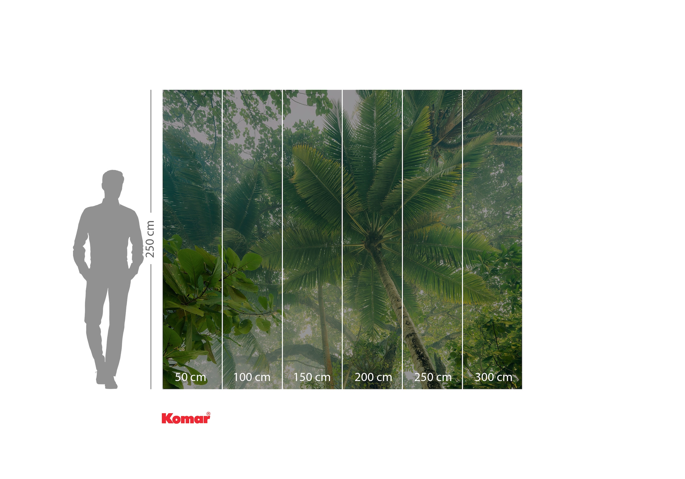 Komar Fototapete »Digitaldruck Vlies - Climber Canopy - Größe 300 x 250 cm«, bedruckt-floral-geblümt-gemustert-tropisch, Wohnzimmer, Schlafzimmer