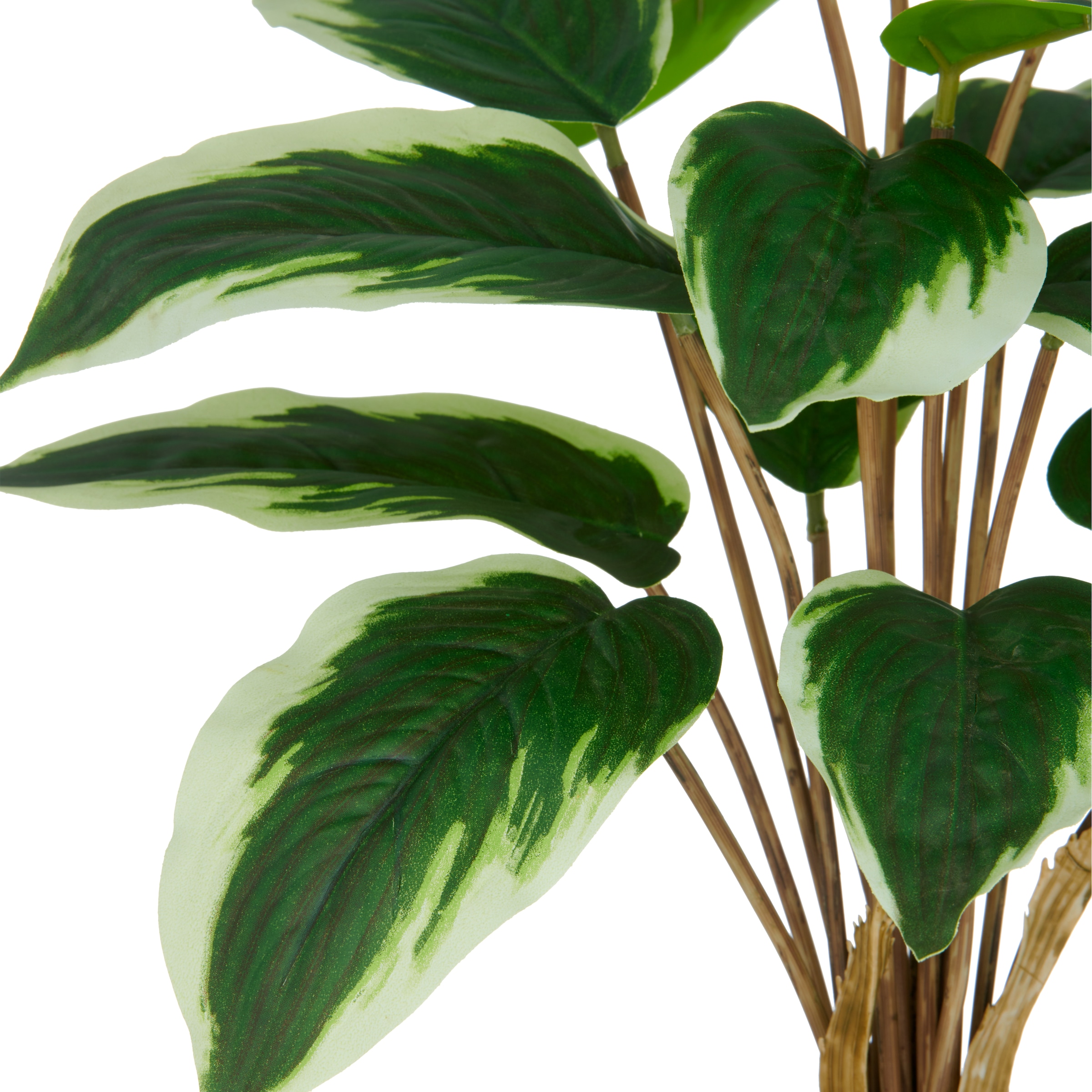 Creativ green Kunstpflanze »Hosta« mit naturgetreuem Blattwerk