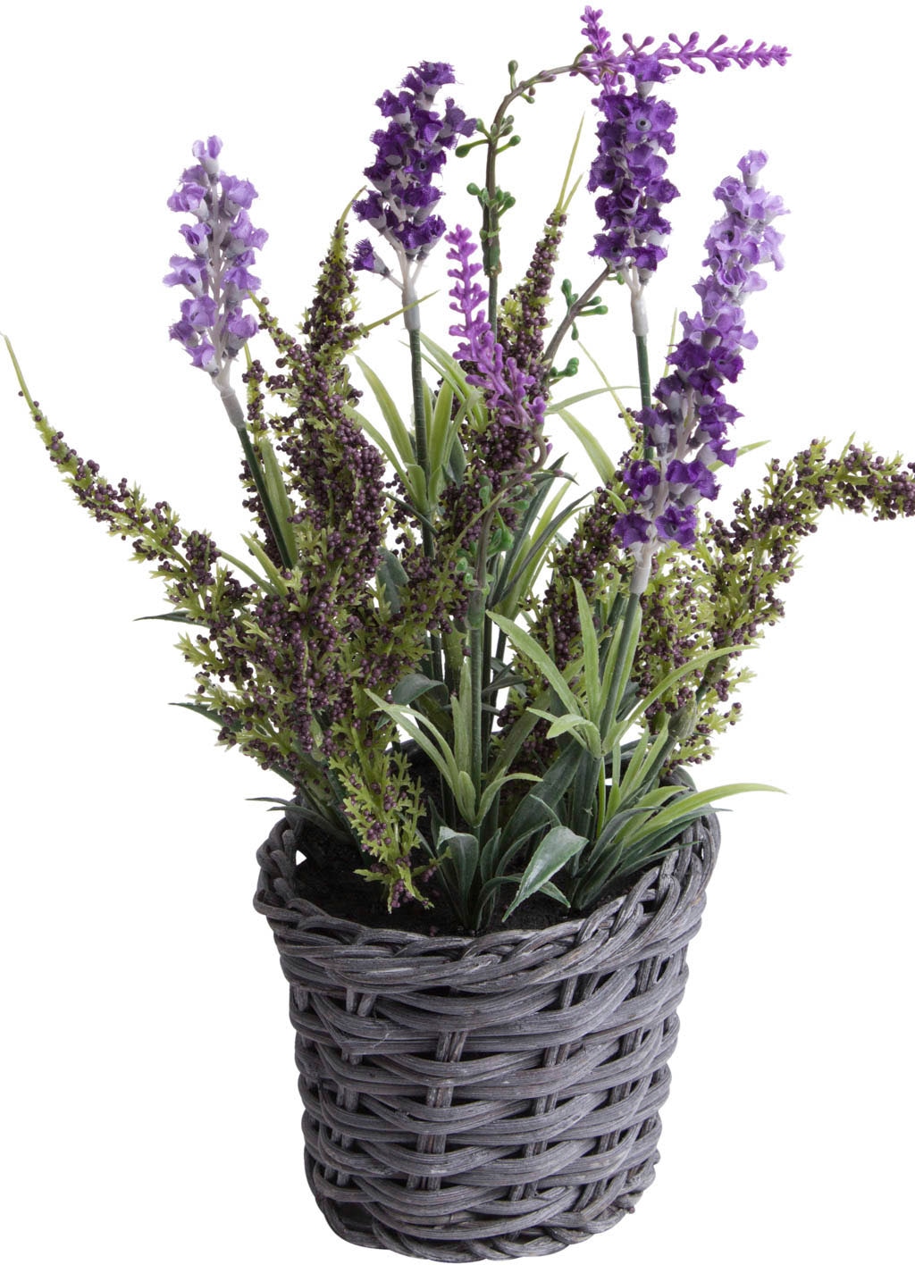 Arrangement Botanic-Haus Zimmerpflanze Raten auf bestellen »Lavendel Erika im - Korb« Künstliche