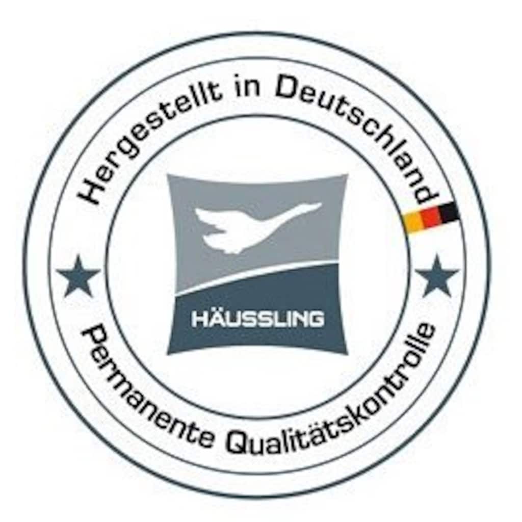 Haeussling Daunenbettdecke + Kopfkissen »Kuscheltraum«, (Spar-Set)