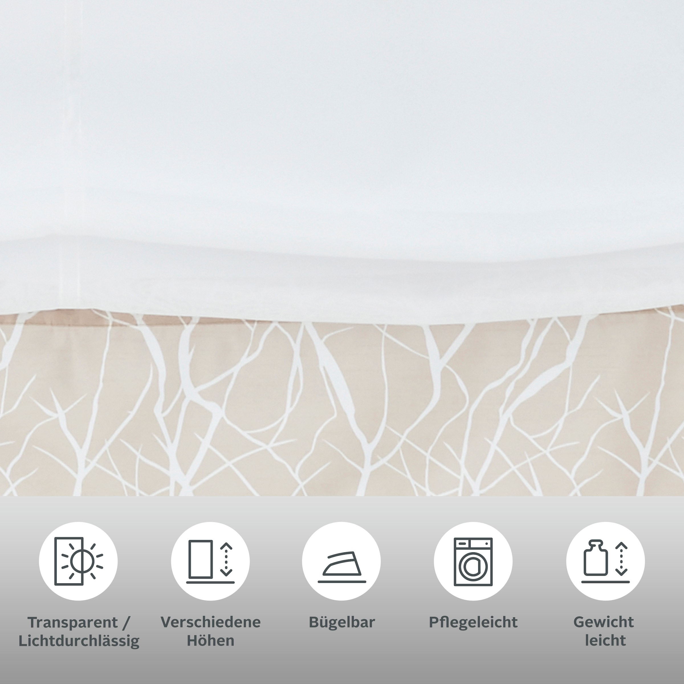 my home Raffrollo »Camposa« mit Klettband Transparent, Voile, Polyester