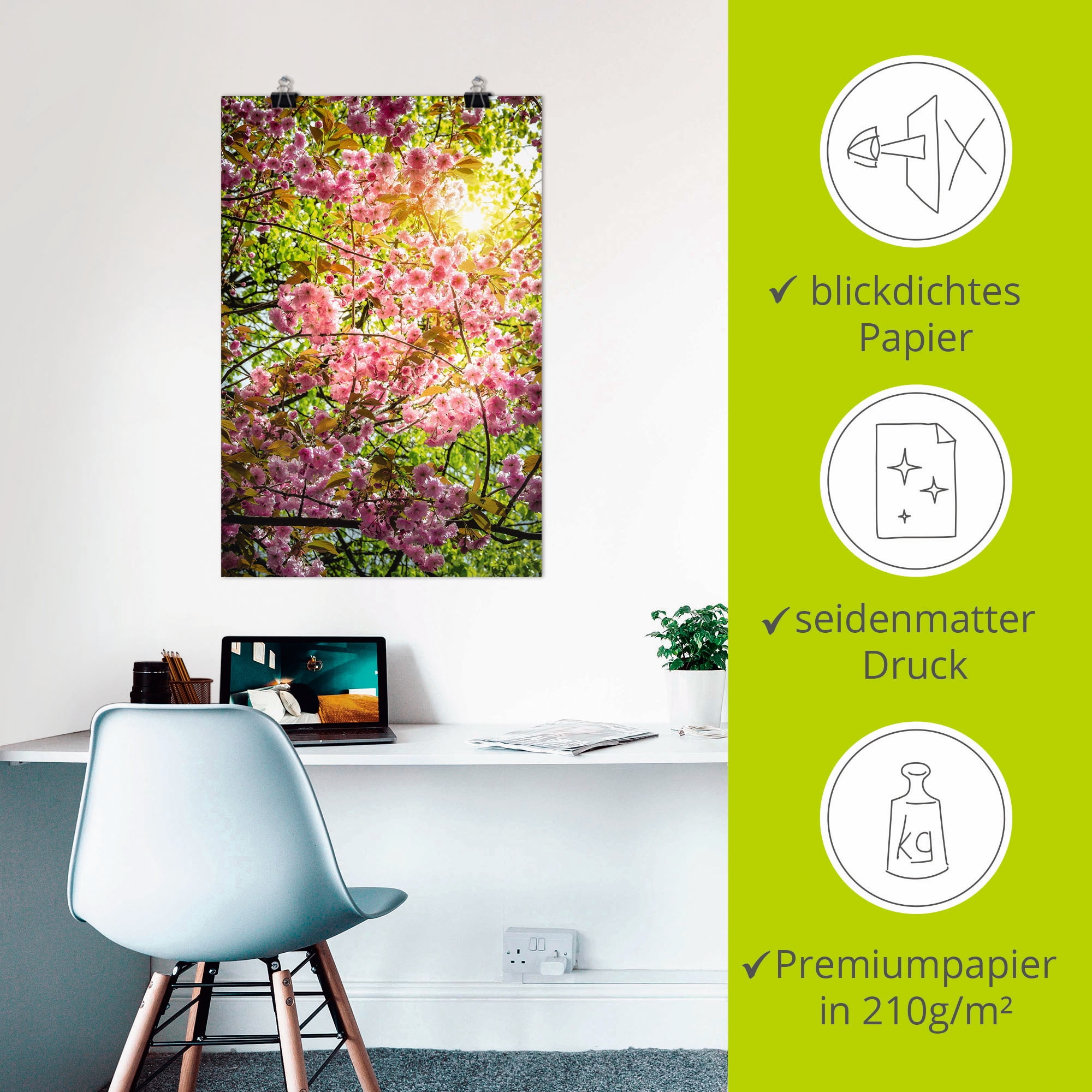 Artland Poster »Japanische Kirschblüte«, Vier Jahreszeiten, (1 St.), als Alubild, Leinwandbild, Wandaufkleber oder Poster in versch. Größen