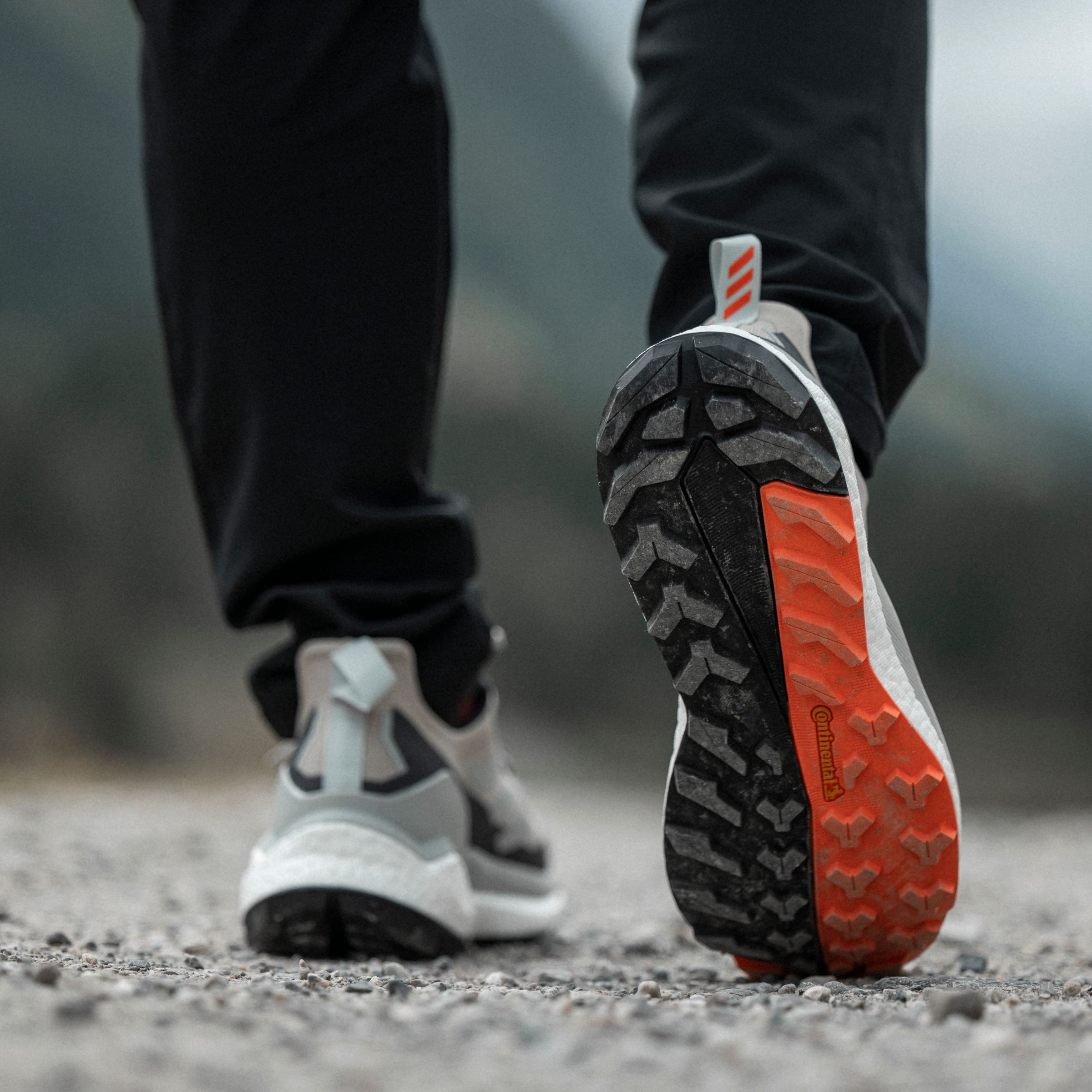 adidas TERREX Wanderschuh »TERREX FREE HIKER 2 LOW Gore-Tex W«, wasserdicht