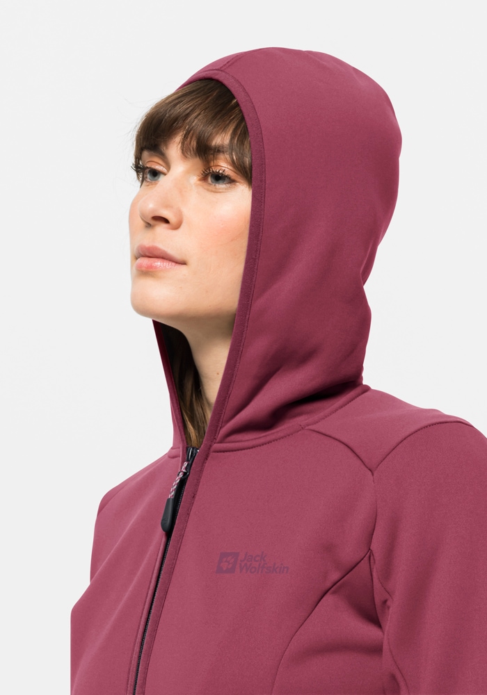 Jack Wolfskin Fleecejacke »BAISELBERG HOODED FZ W«, mit Kapuze