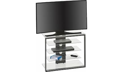 Maja Möbel TV-Rack, Höhe 65,6 cm kaufen