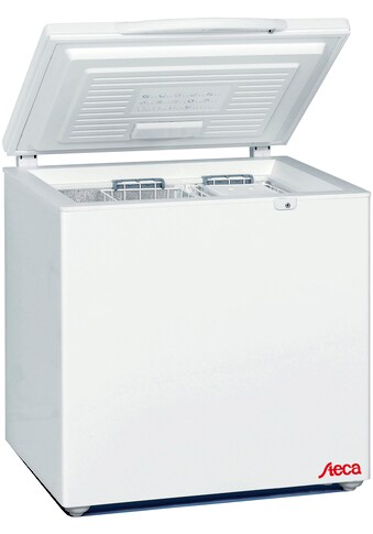 Steca Kühlbox »Steca PF166-H«, Kühl- und Gefriertruhe Kompressor 12 V, 24 V kaufen