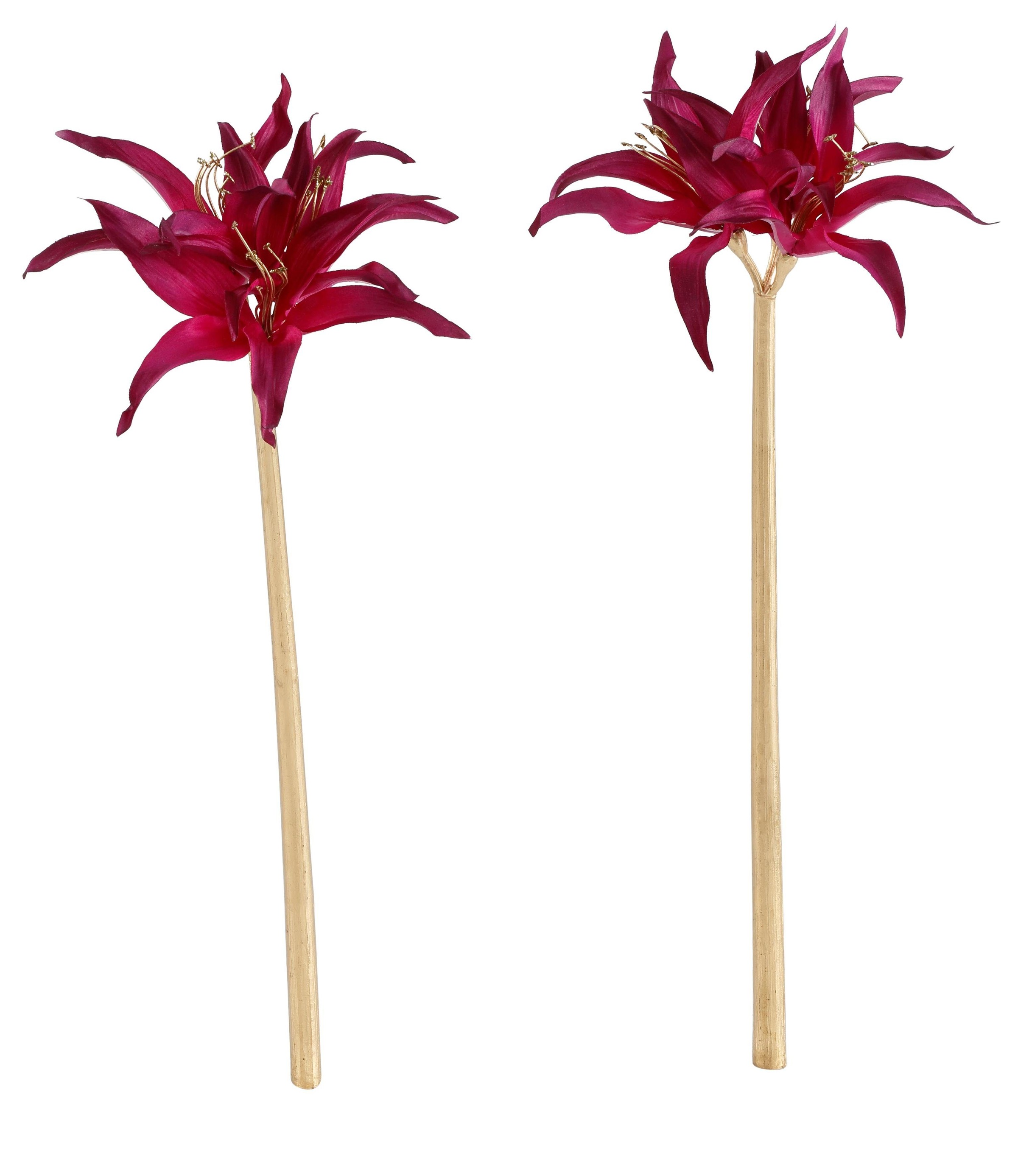 Creativ deco Winterliche Kunstpflanze »Weihnachtsdeko«, (Set, 2 St.), mit goldfarbenen... kaufen