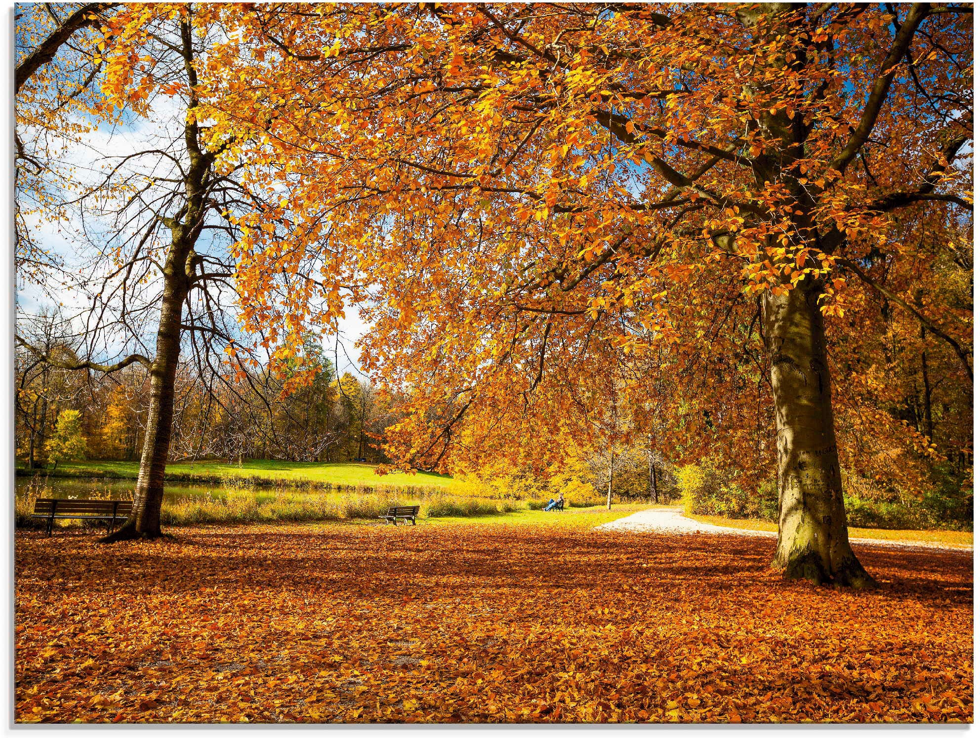 Glasbild »Herbst bei Schlosses Nymphenburg«, Wiesen & Bäume, (1 St.), in verschiedenen...