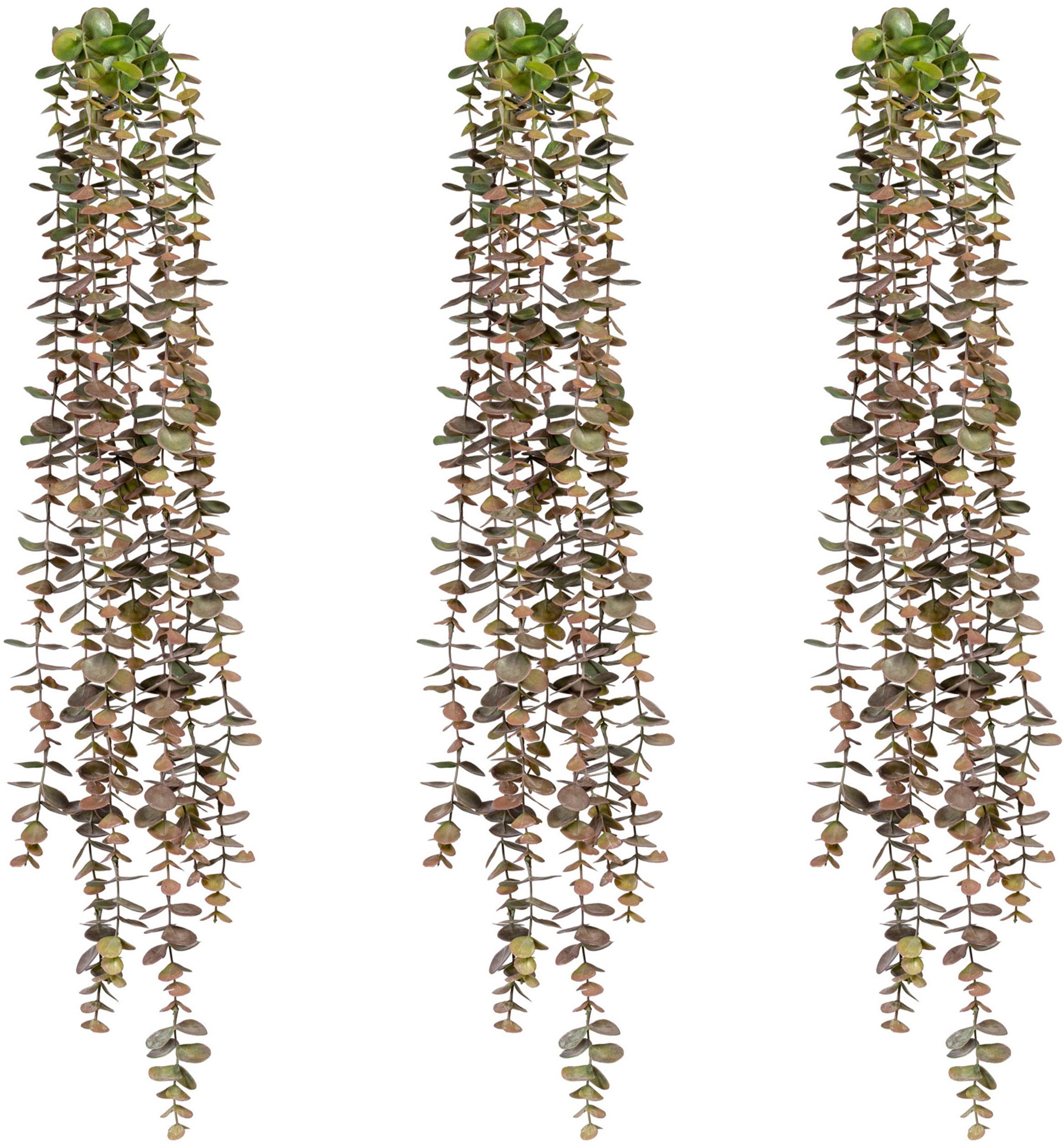 Creativ green Kunstranke »Eukalyptushänger«, im 3er auf Rechnung Set bestellen