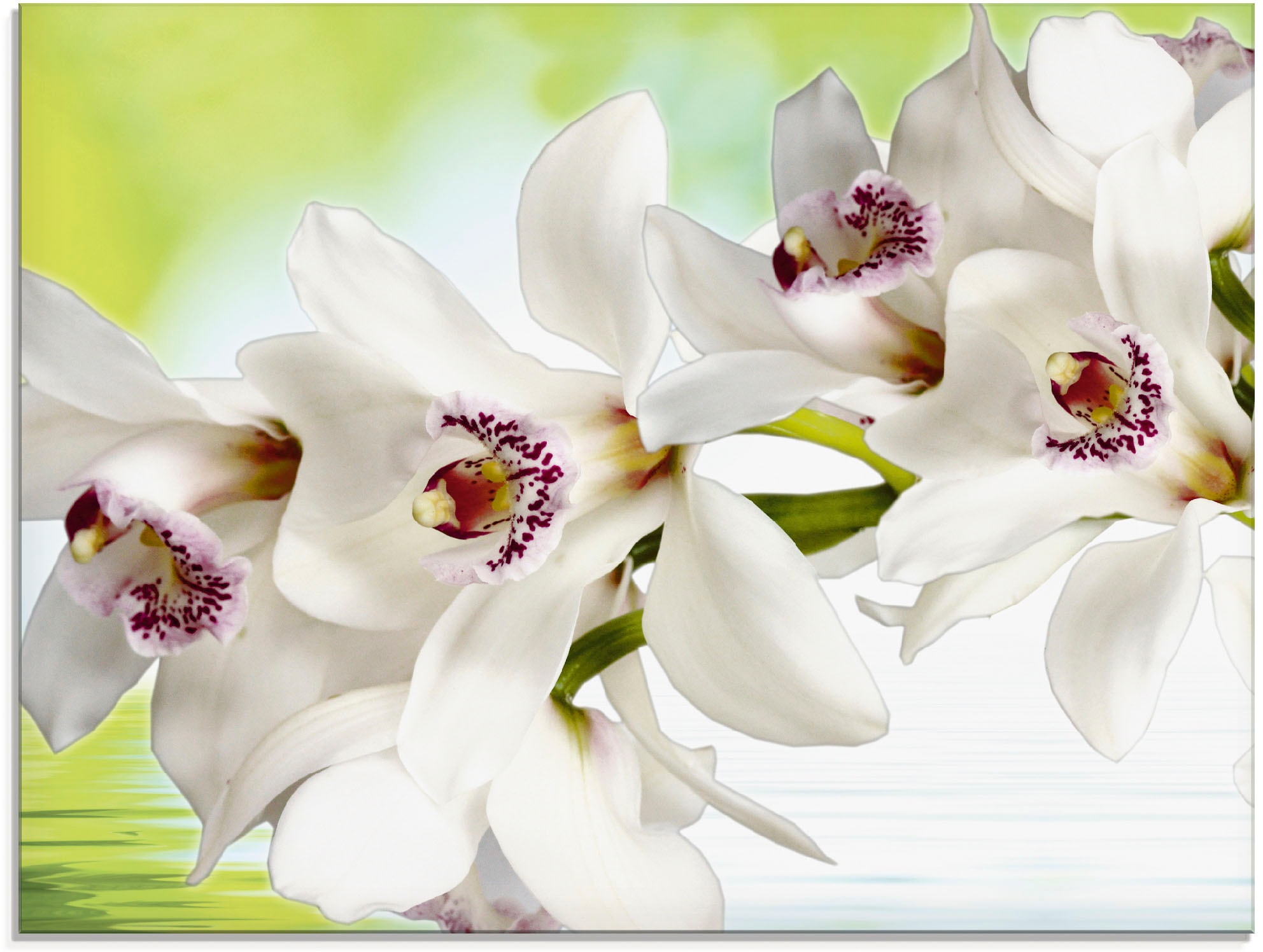 Artland Glasbild »Weiße Orchidee«, Blumen, (1 St.), in verschiedenen Größen