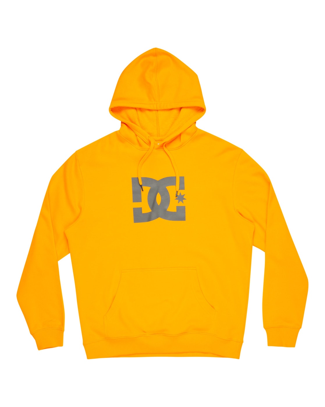 DC Shoes Kapuzensweatshirt »DC Star«