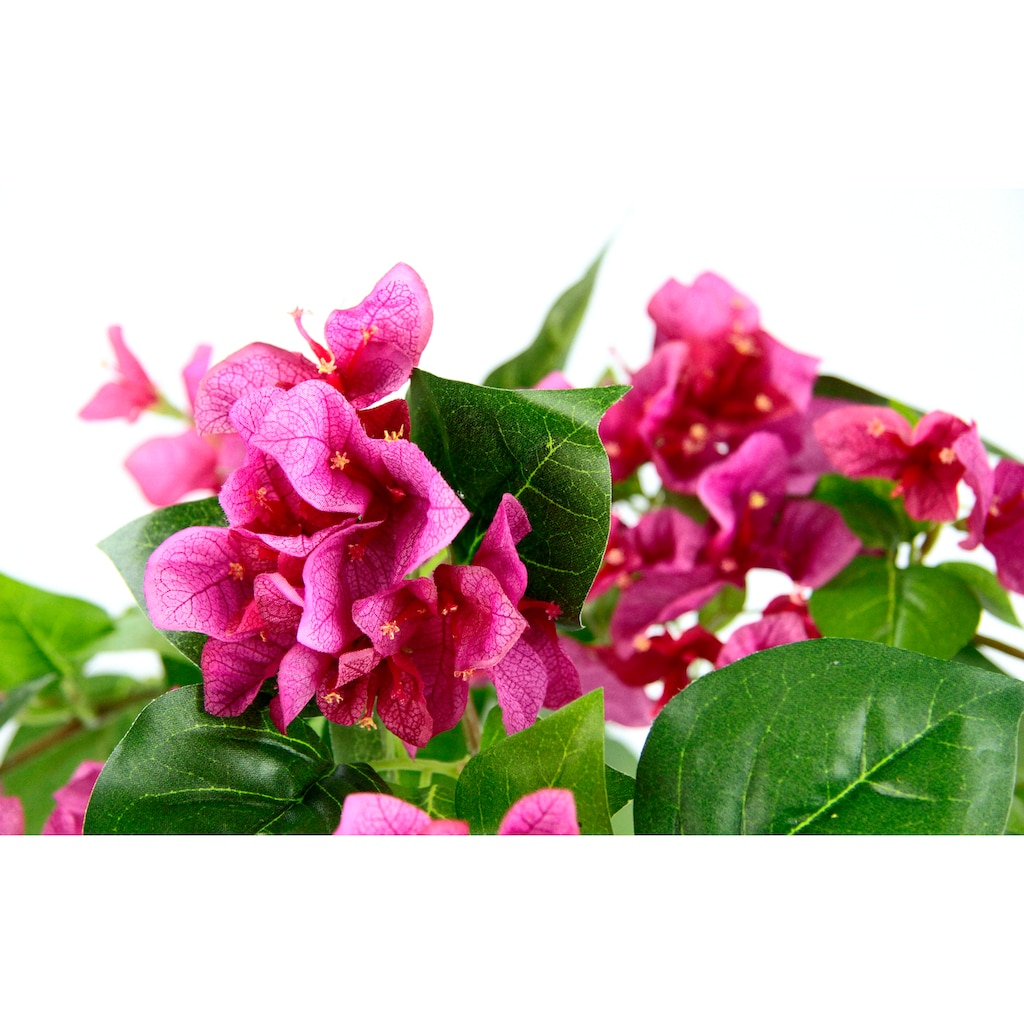 I.GE.A. Kunstpflanze »Bougainvillea«