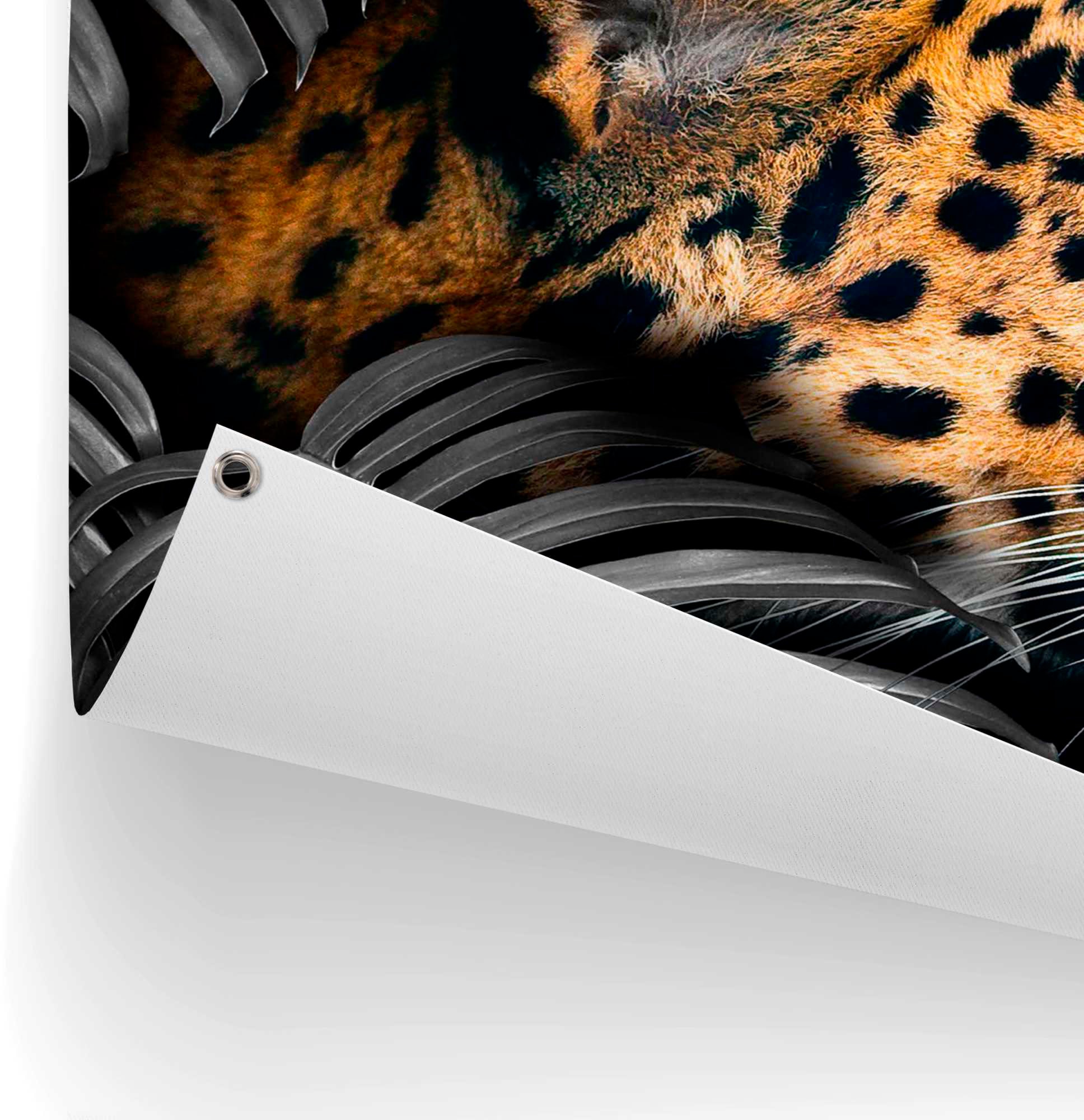 Reinders! Poster »Leopard«
