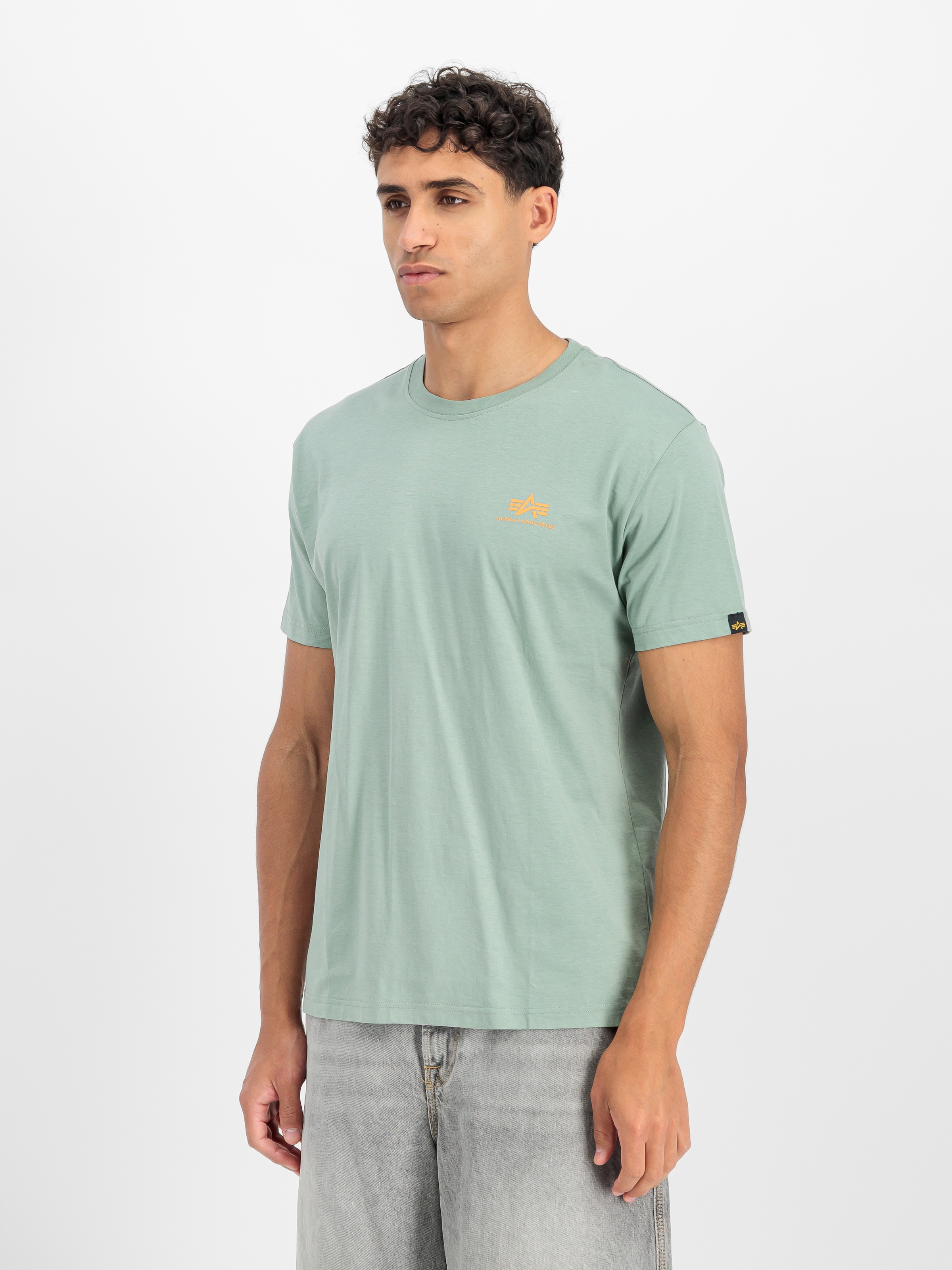 Alpha Industries Rundhalsshirt »Backprint T« Baumwolle, regular fit