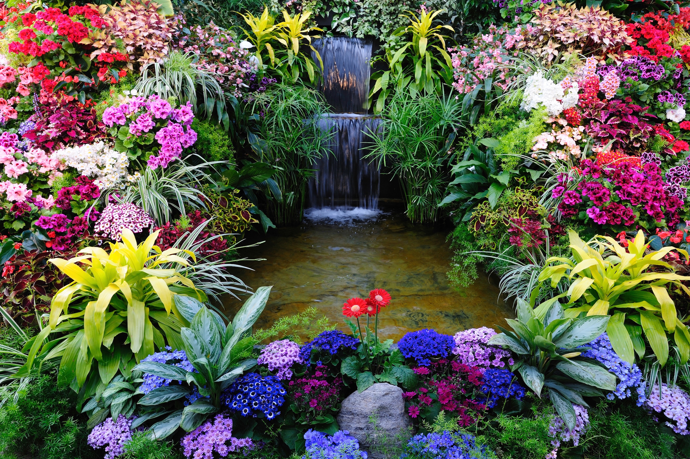 Papermoon, Fototapete »BLUMEN LAGUNE WASSERFALL«, bunt, Vlies, B/L: 3 m m x 2,23 m m - Bahnen: 6 Stk. St., bunt