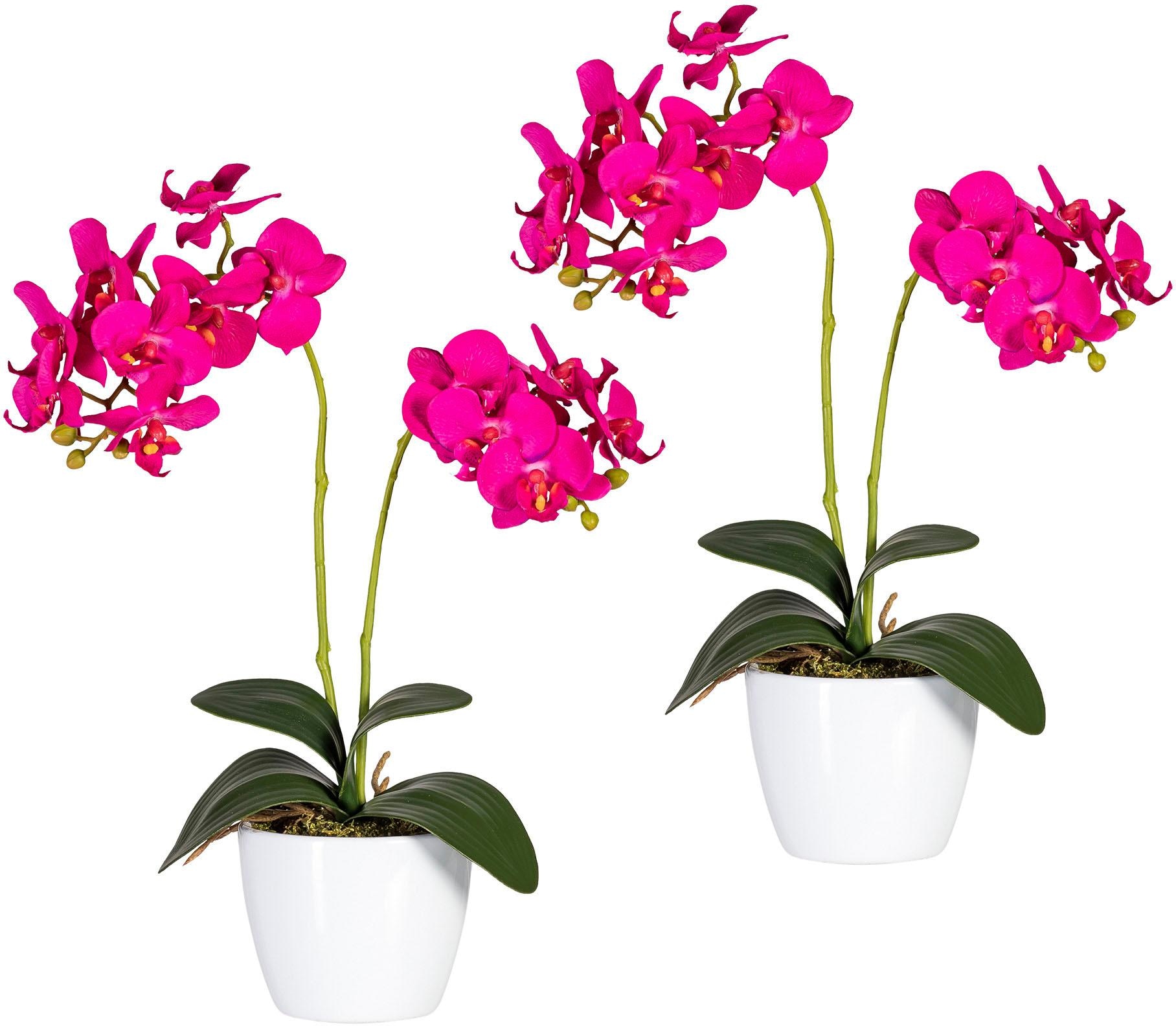 Kunstpflanze »Phalaenopsis«