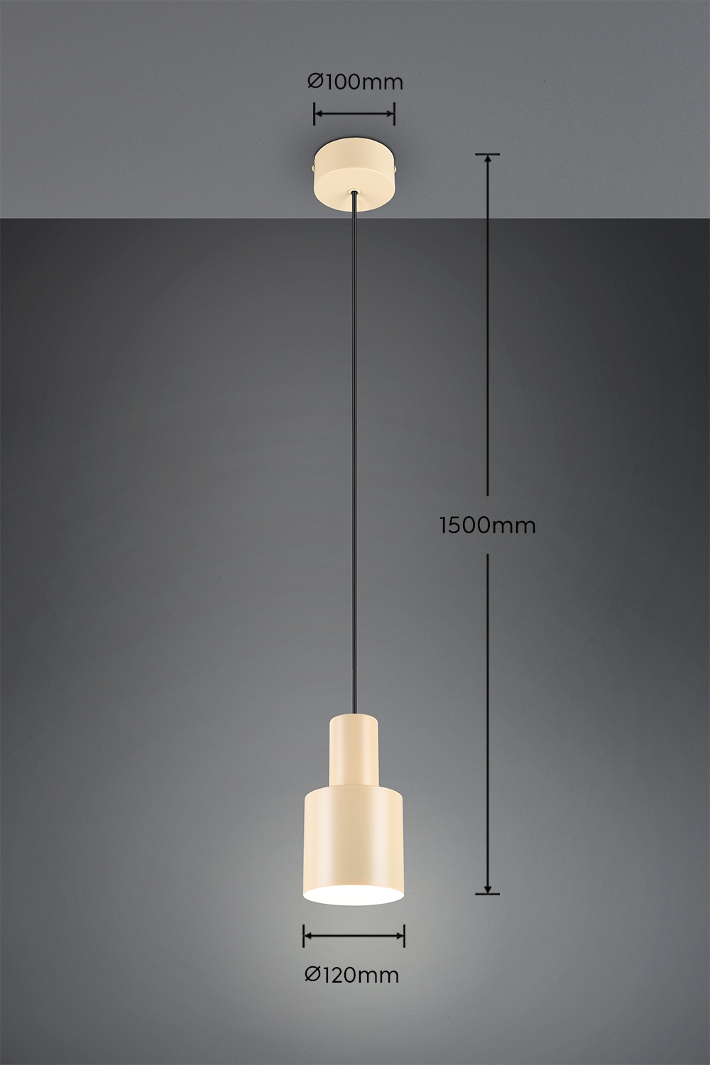 TRIO Leuchten Pendelleuchte »AGUDO, Hängelampe 1-flammig, exkl 1xE27 max 10W, höhenverstellbar« E27 1 Stk. warmweiß - kaltweiß Hängelampe Ø 12cm, bis max 150cm Abhängung, Küche Esszimmer Wohnzimmer