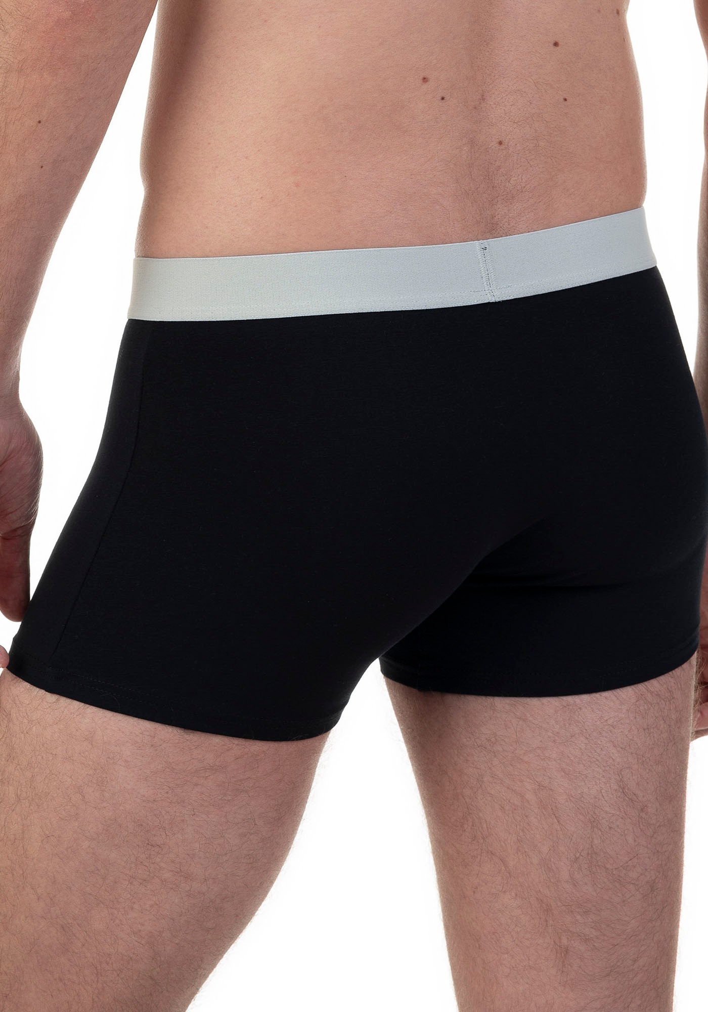 Bruno Banani Boxer, (2er Pack), mit kontrastreichem Logobund