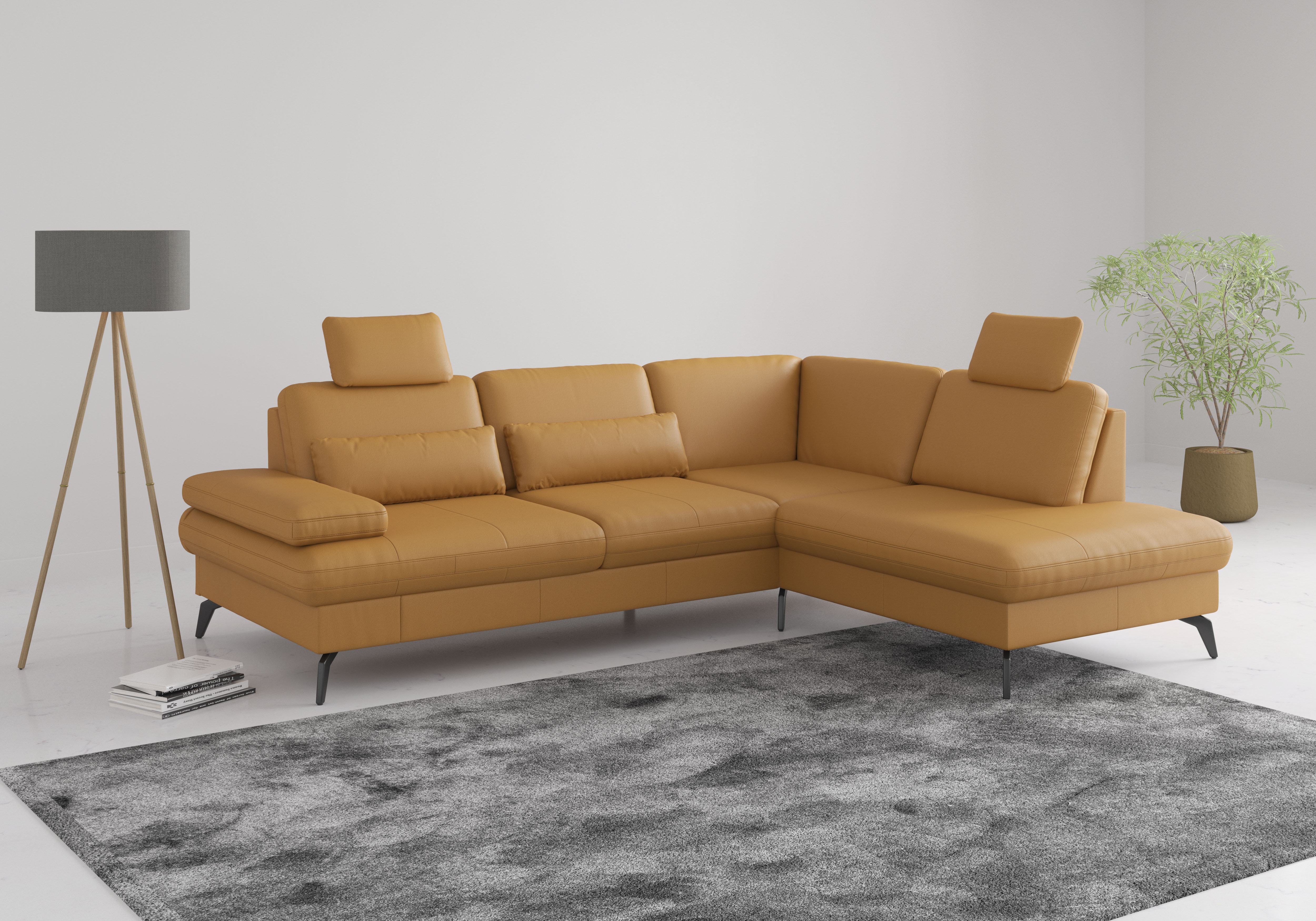 sit&more Ecksofa "Morris L-Form, inkl. Sitztiefenverstellung" wahlweise mit Armteilverstellung, Schlaffunktion & Bettkasten