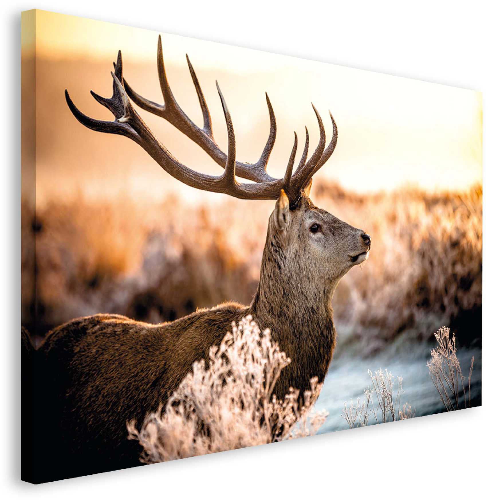 Reinders! Deco-Panel »Hirsch im Wald«, 118/70 cm auf Raten kaufen