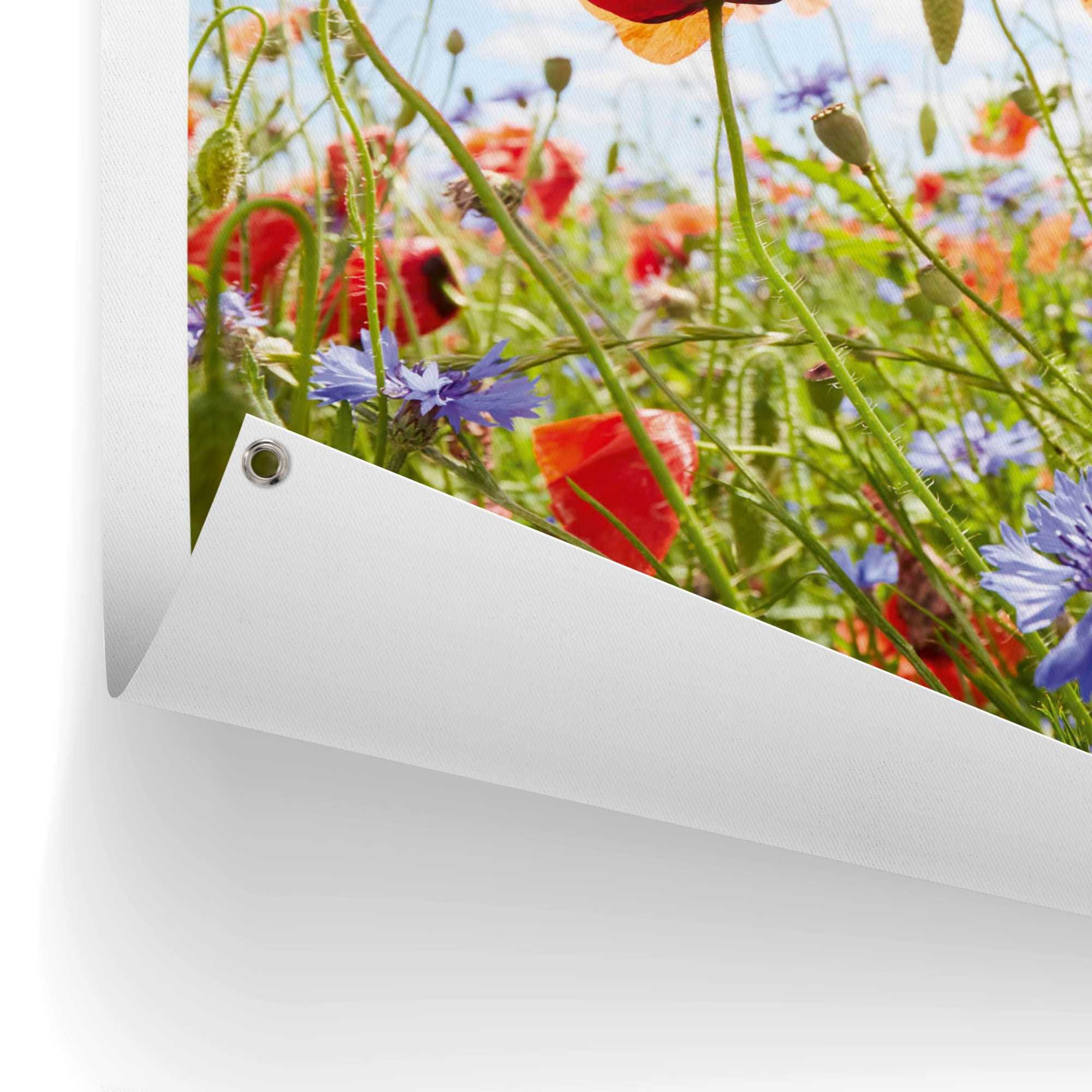 Reinders! Poster »Blumenfeld« Outdoor für Garten oder Balkon