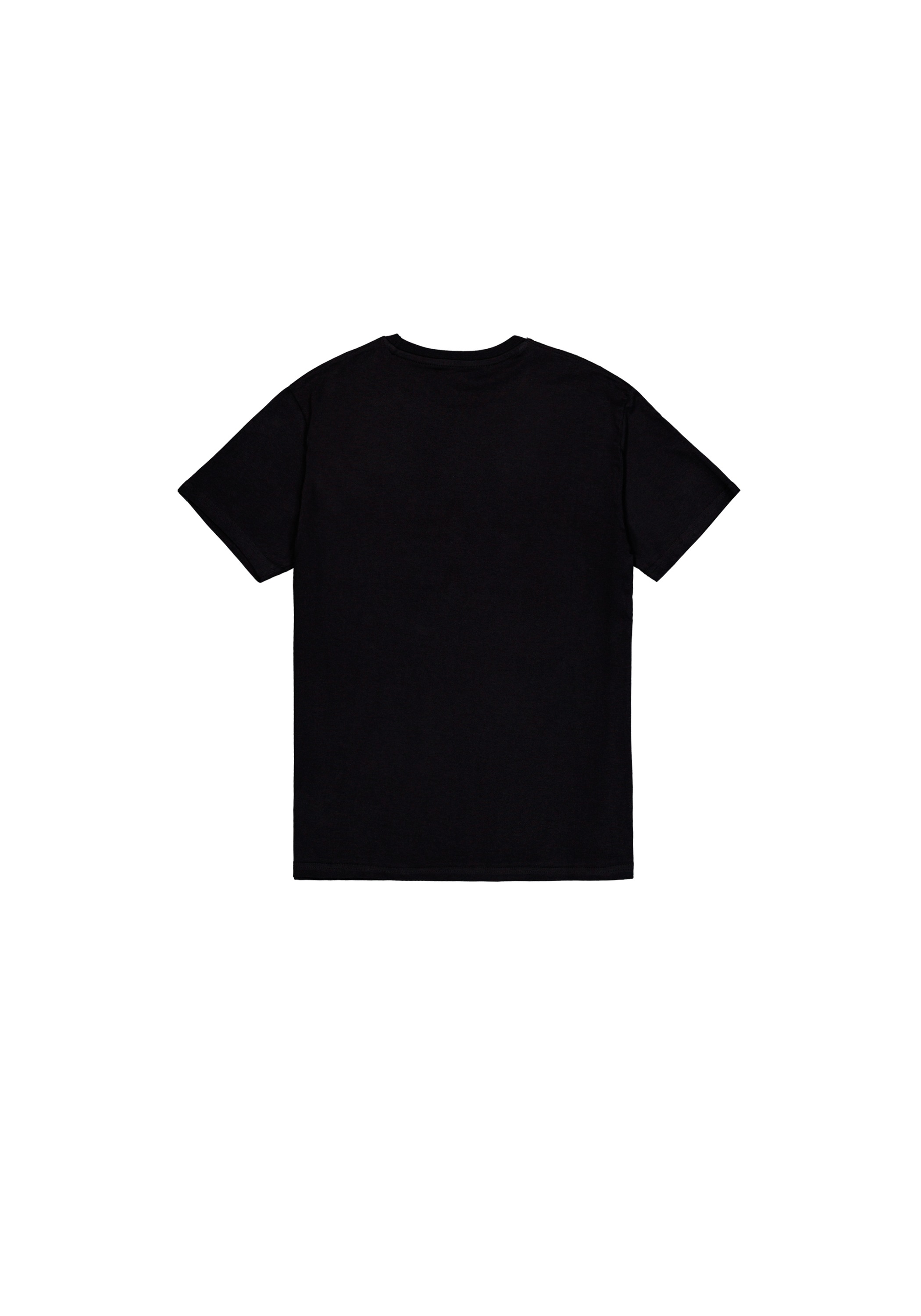 Alpha Industries T-Shirt »Basic T-Shirt BL V-Neck«