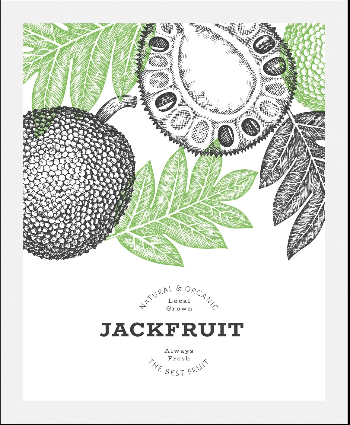 queence Bild »Jackfruit«, Obst-Obst Bilder-Schriftzug-Figuren-Abstrakt, (1 St.), gerahmt