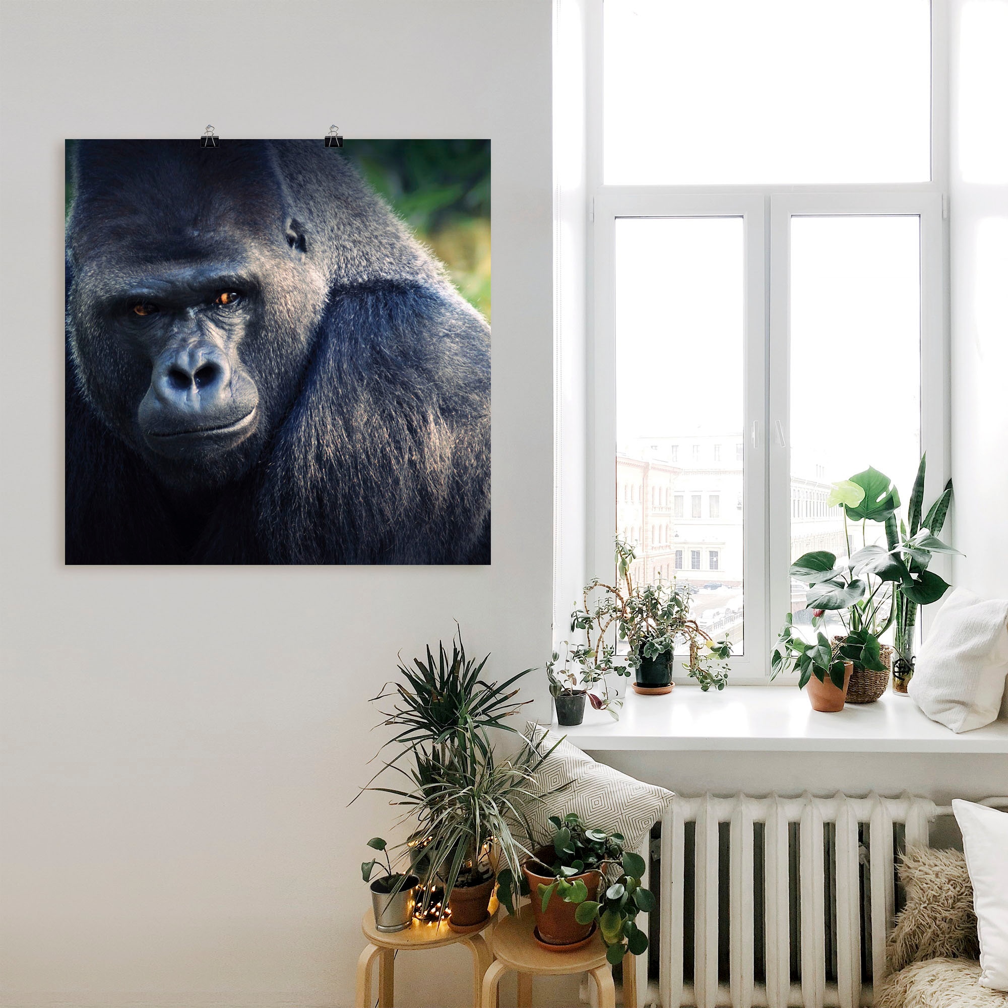 Artland Poster »Gorilla«, Wildtiere, (1 St.), als Leinwandbild, Wandaufkleber oder Poster in versch. Größen