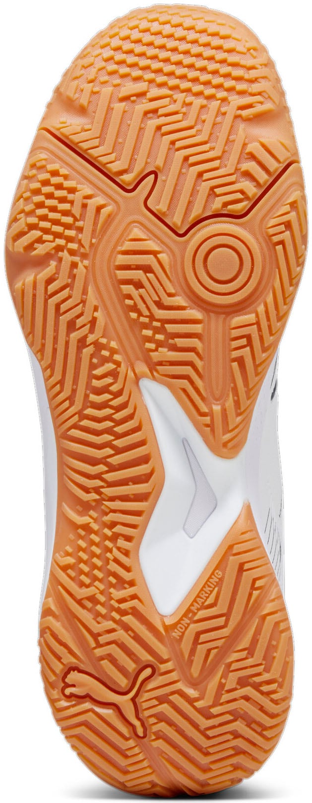 PUMA Hallenschuh »SOLARFLASH II«