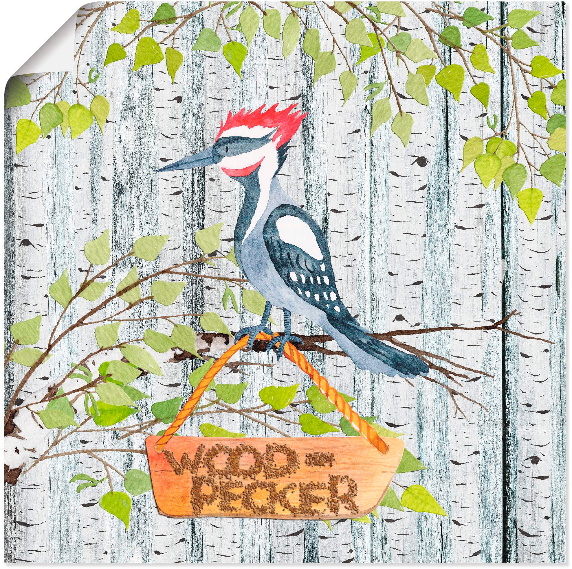 Artland Wandbild »Waldfreunde- der laute Specht«, Tiere, (1 St.), als Alubild, Leinwandbild, Wandaufkleber oder Poster in versch. Größen