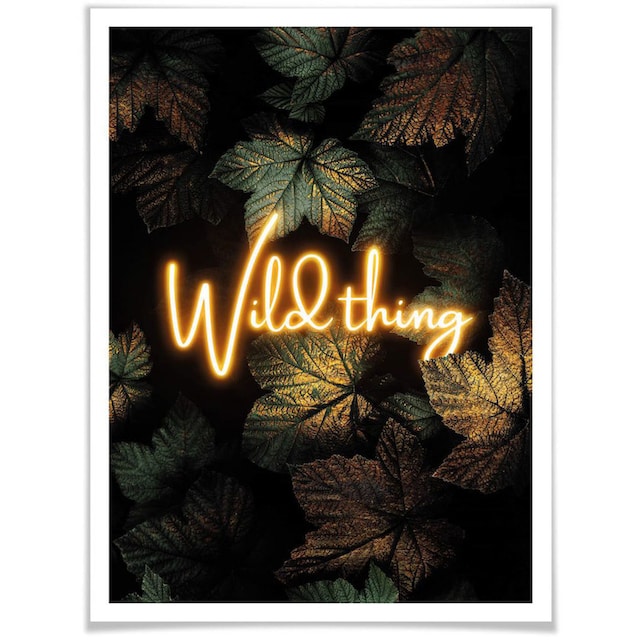 Wall-Art Poster »Wild Thing«, Schriftzug, (1 St.) bequem kaufen