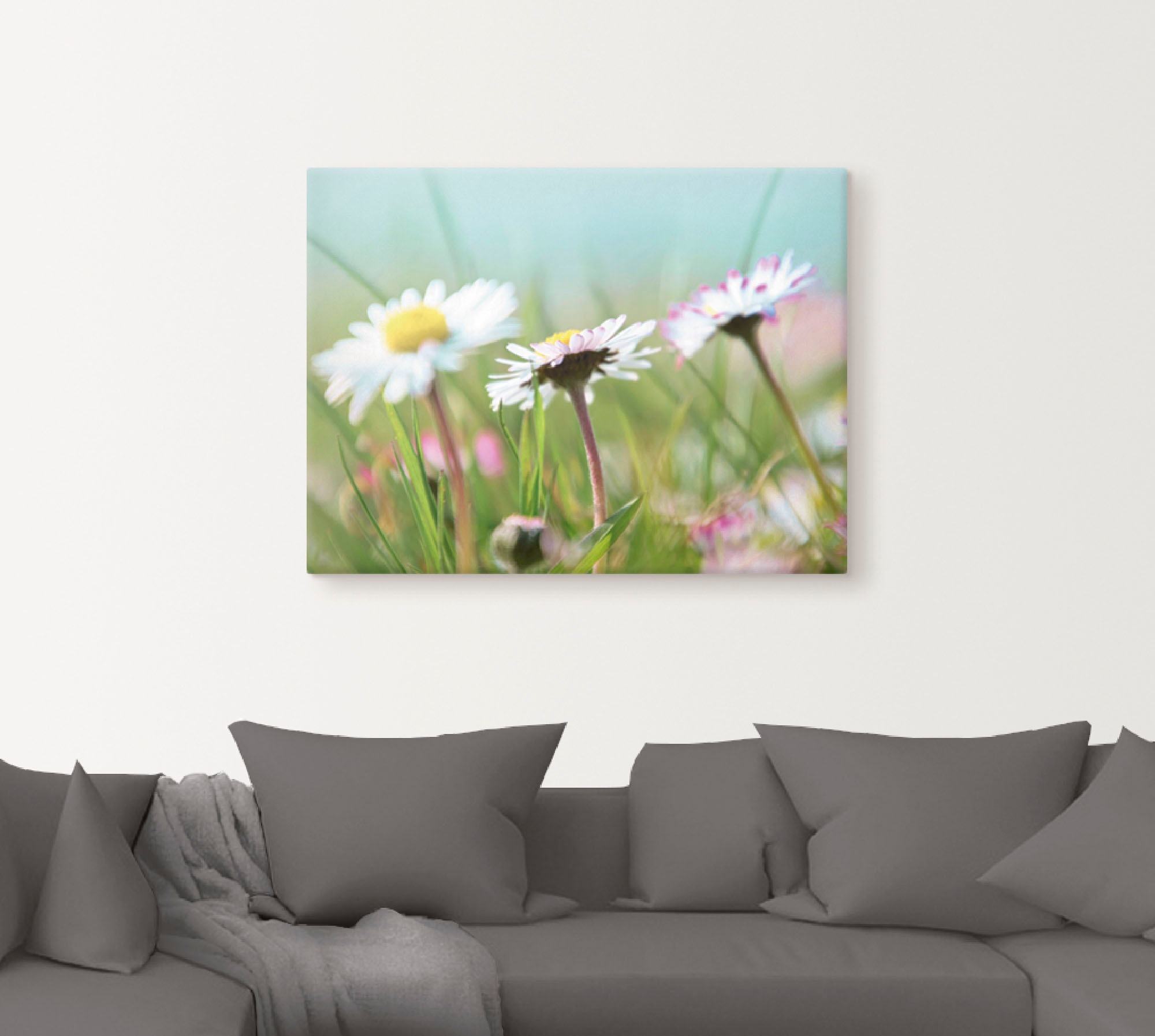 Artland Leinwandbild »Gänseblümchen Romantik«, Blumen, (1 St.), auf Keilrahmen gespannt