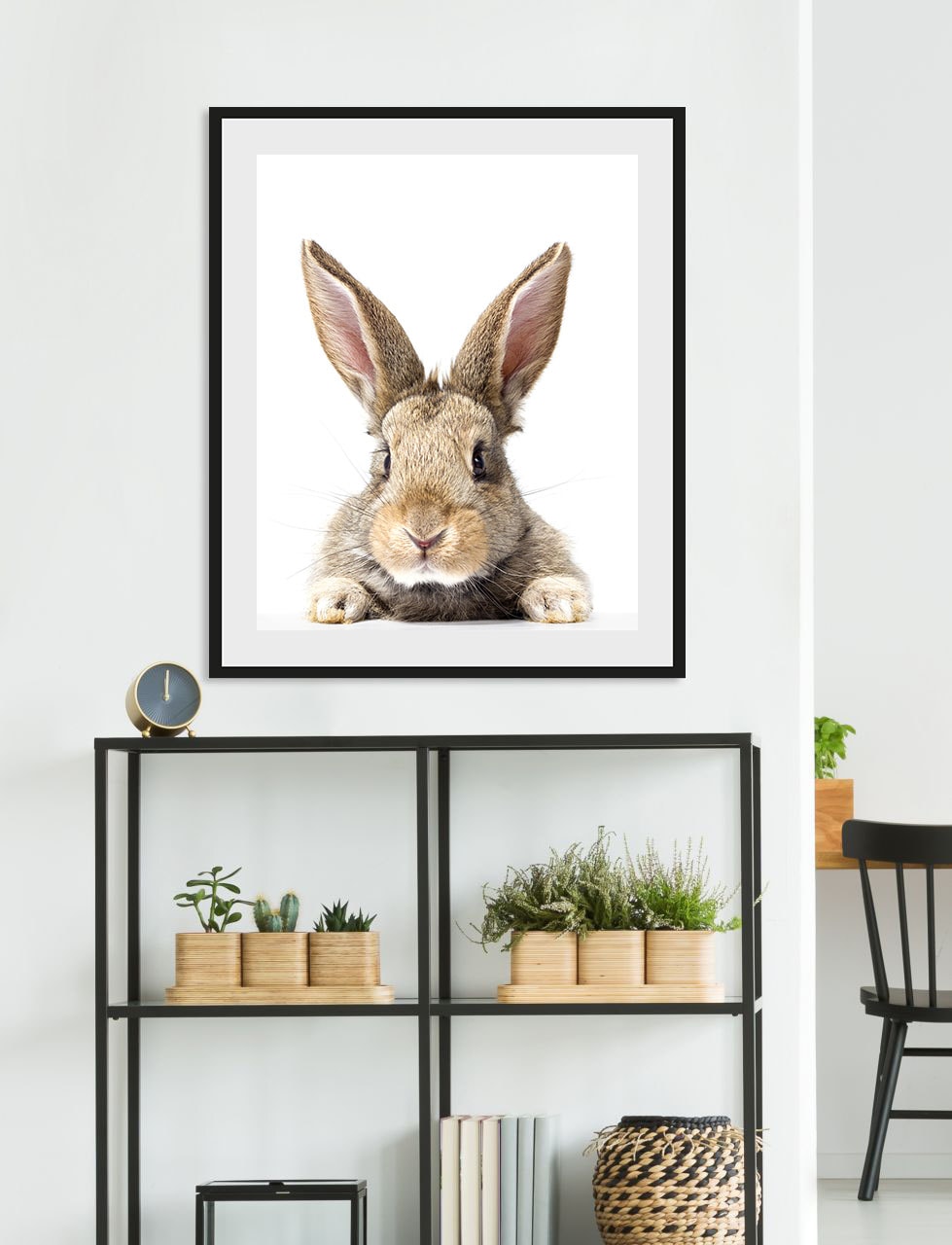 queence Bild »Joona«, Hase-Hasen-Foto-Kunst-Haustiere, (1 St.), HD Premium Poster-Druck inkl. Holzrahmen