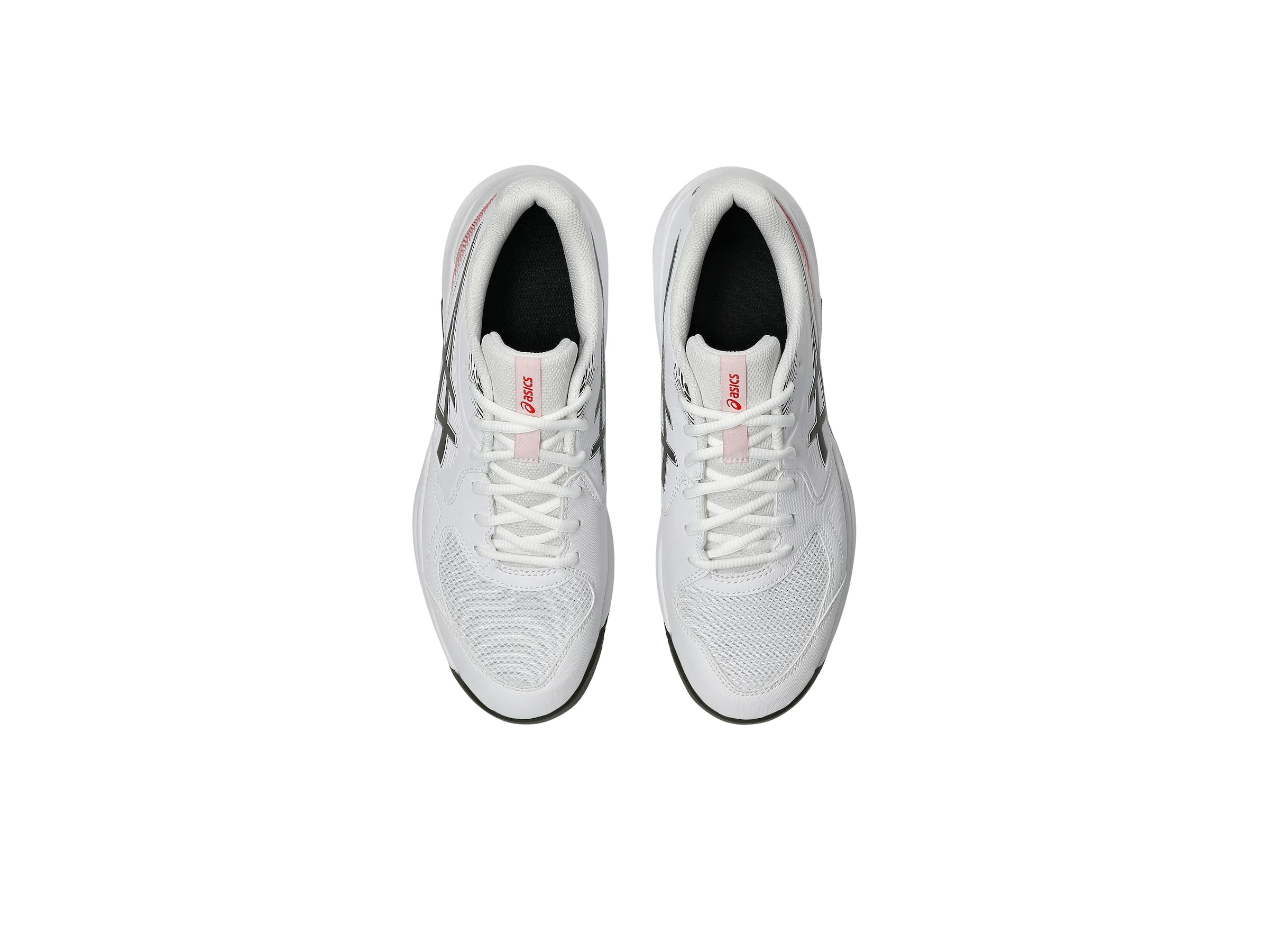 Asics Tennisschuh »GEL-DEDICATE 9 CLAY«  Sandplatzschuhe für Ascheplätze