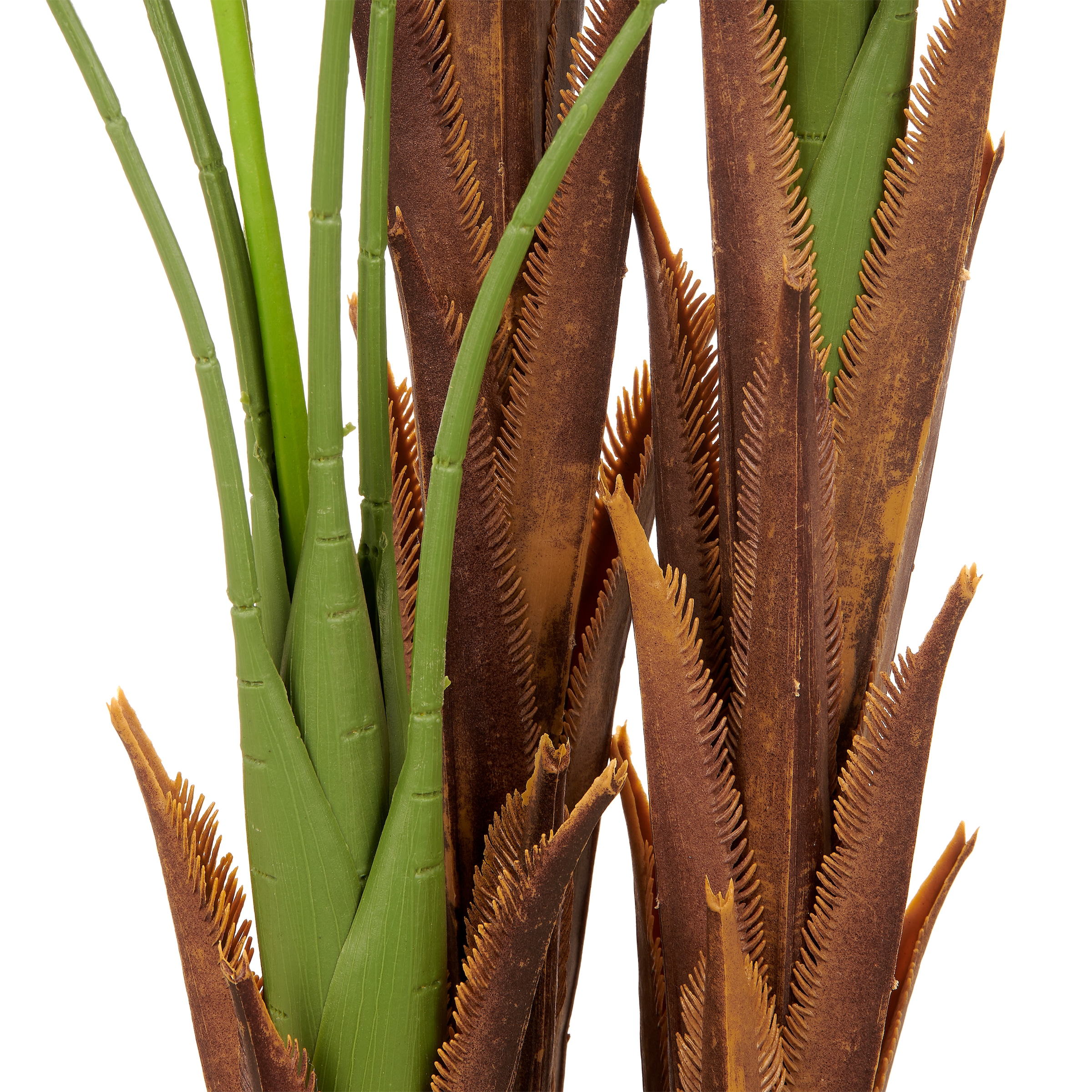 Creativ green Kunstpalme »Arecapalme« mit naturgetreuen Palmwedeln