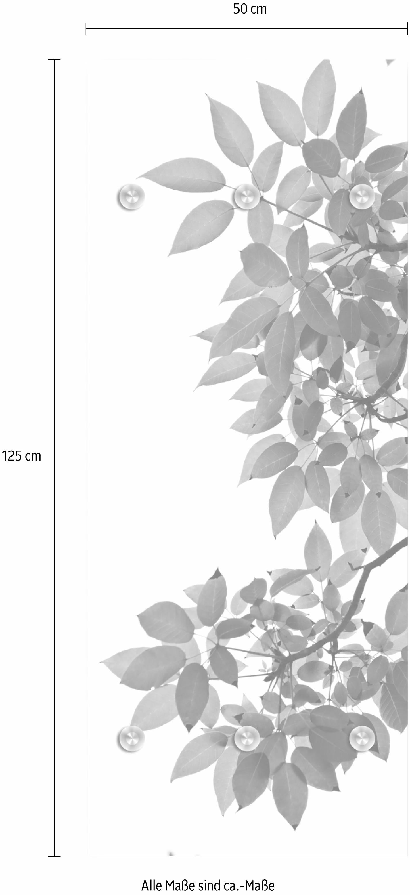 queence Garderobenleiste »Zweige mit Blättern«, mit 6 Haken, 50 x 120 cm
